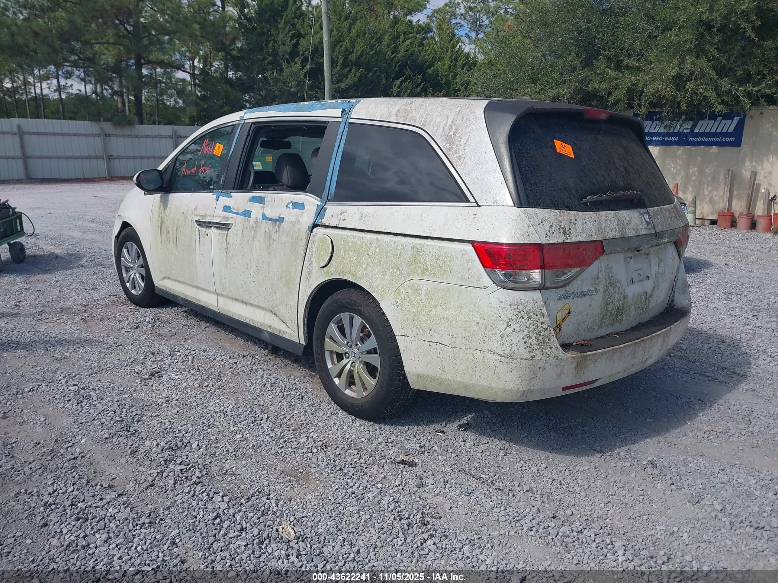 HONDA ODYSSEY image 3