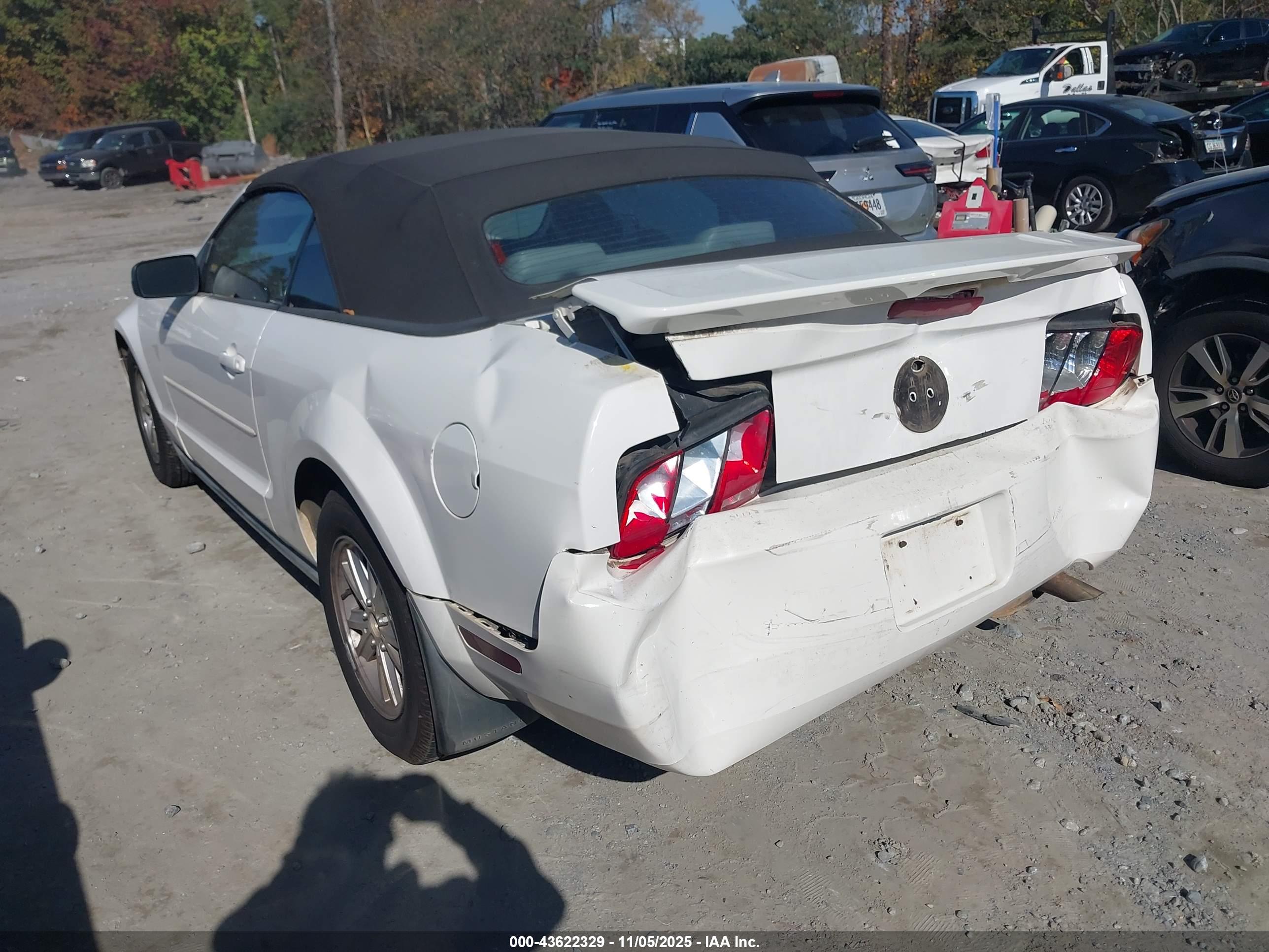 FORD MUSTANG image 3