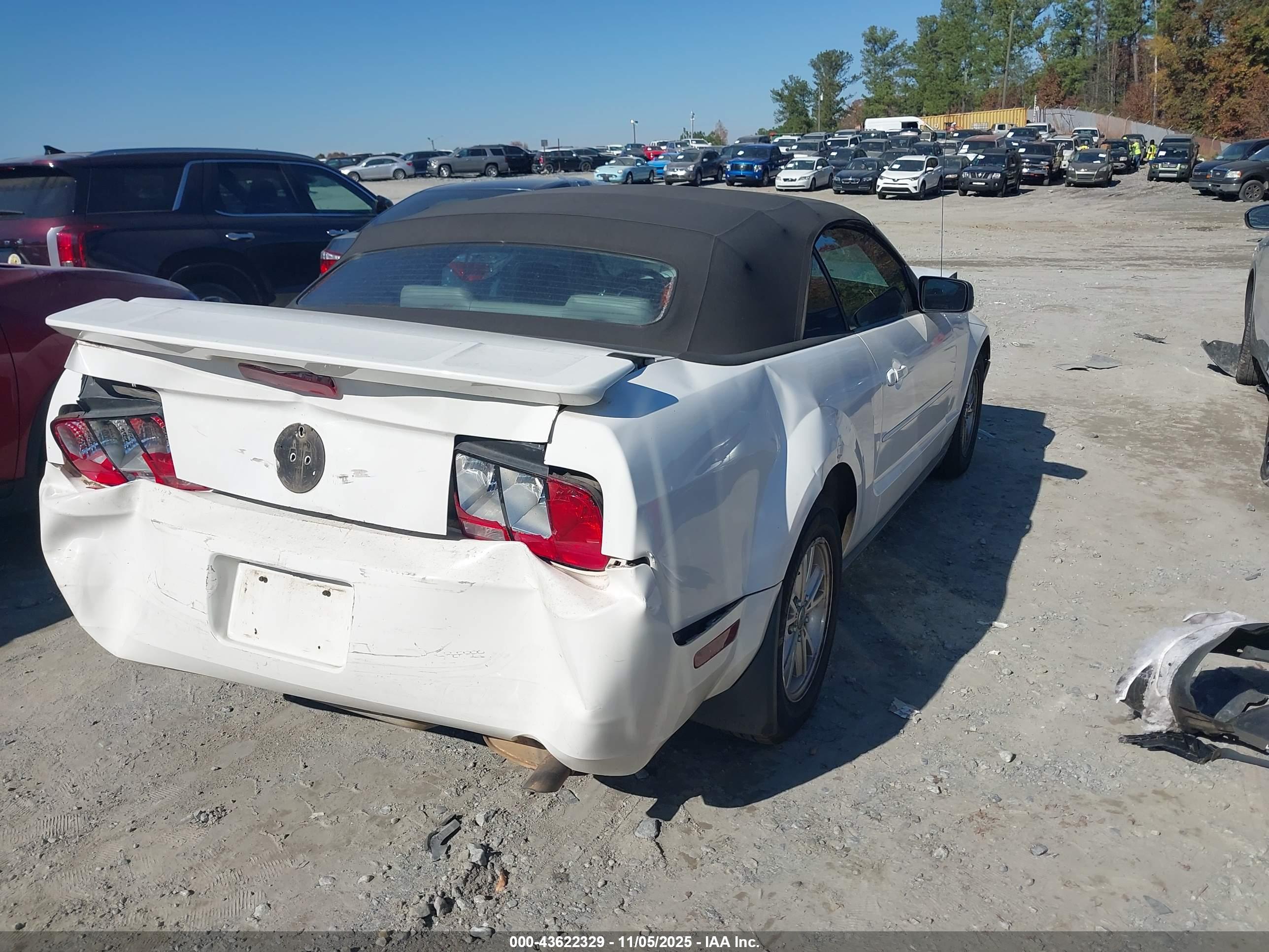 FORD MUSTANG image 4