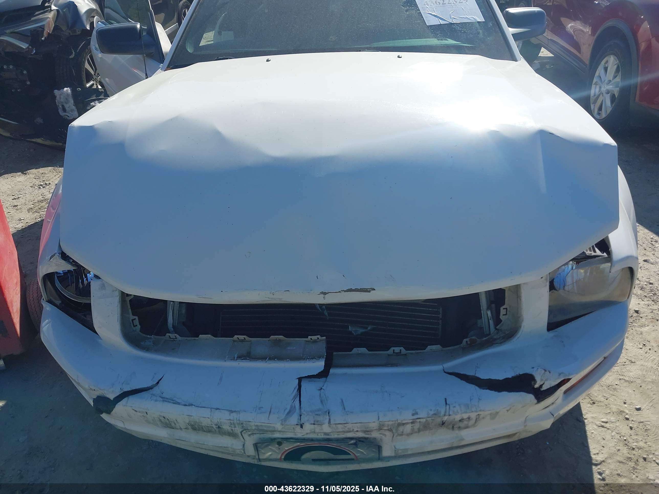 FORD MUSTANG image 6