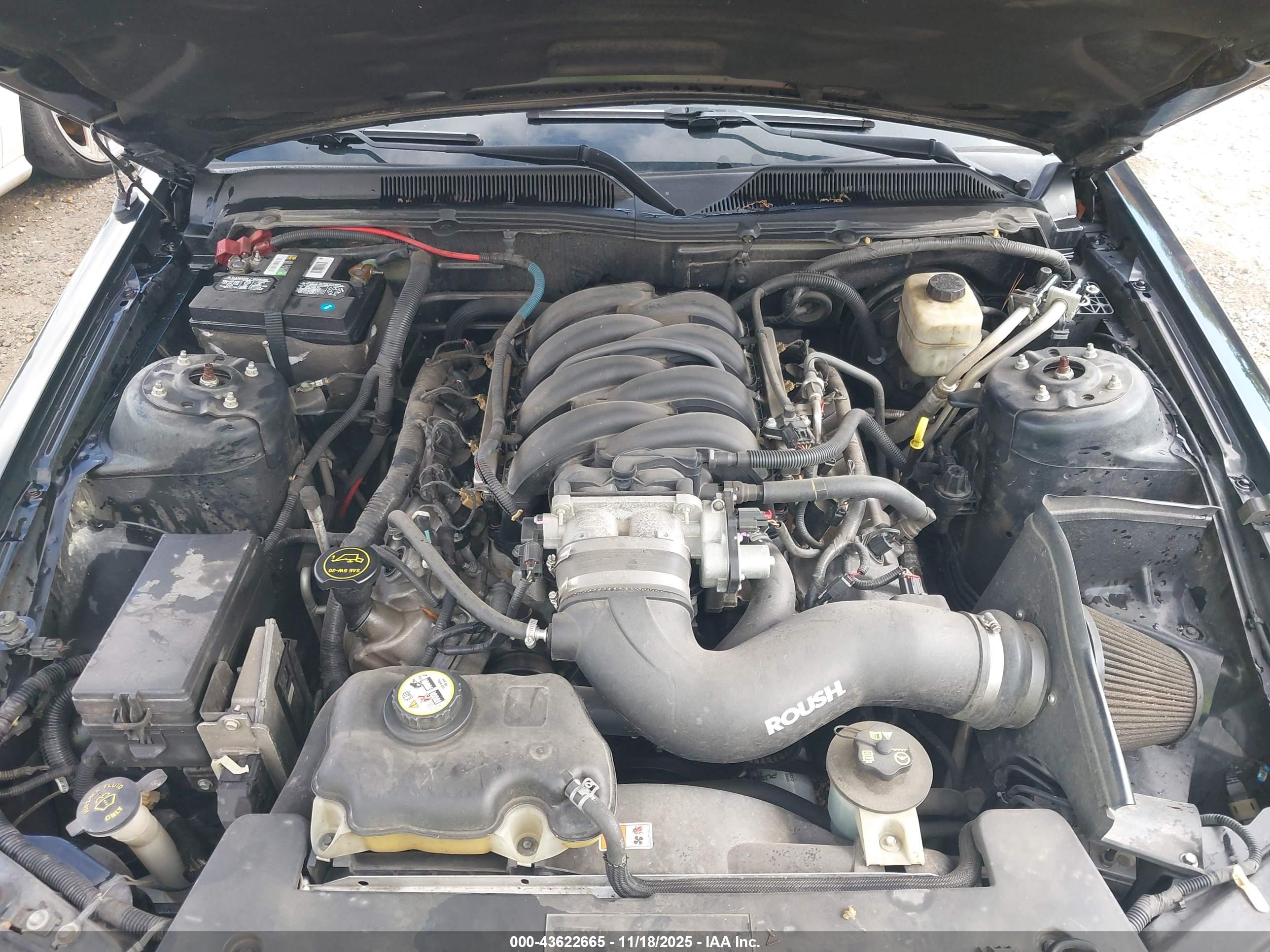 FORD MUSTANG image 10