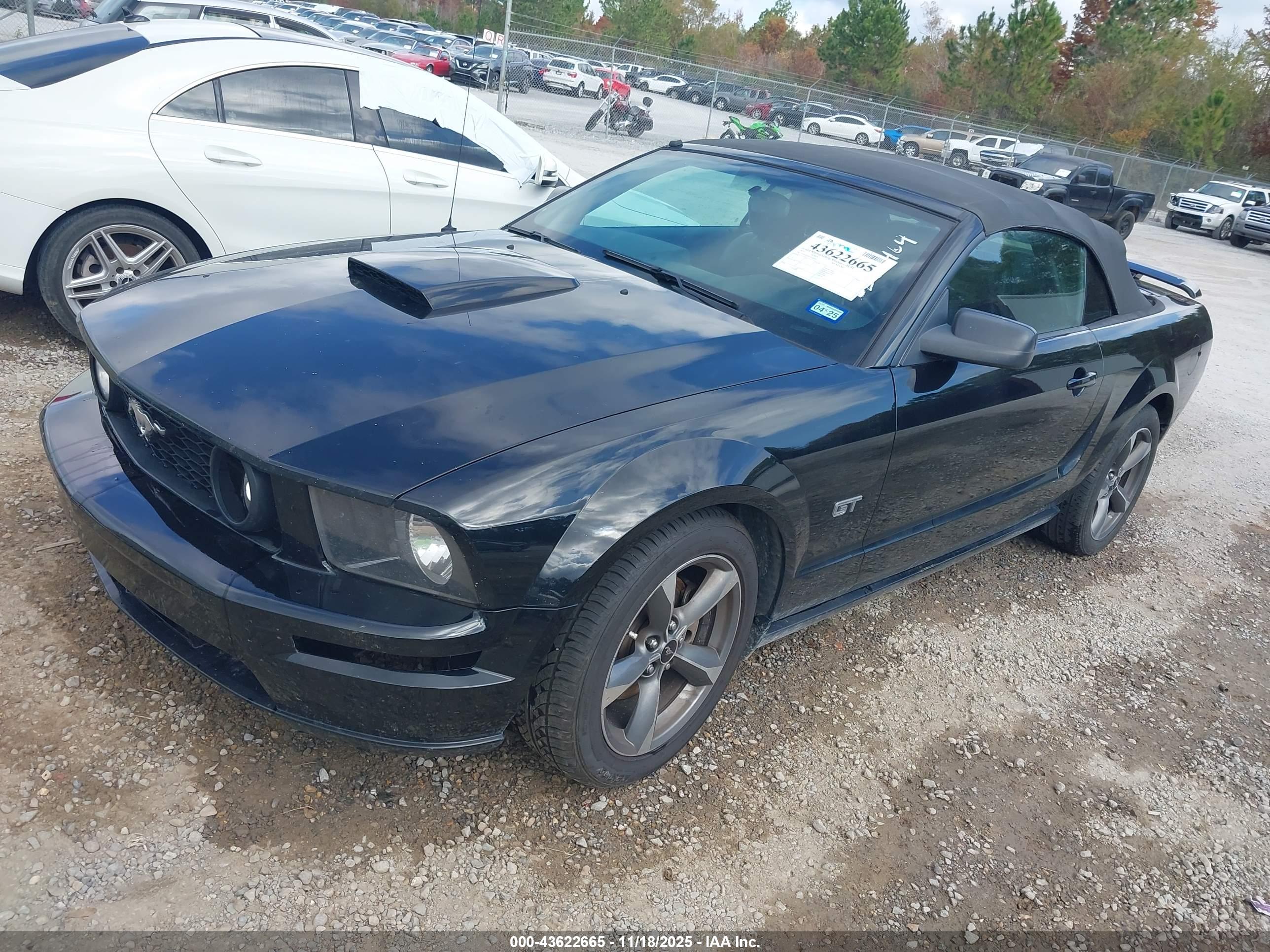 FORD MUSTANG image 2
