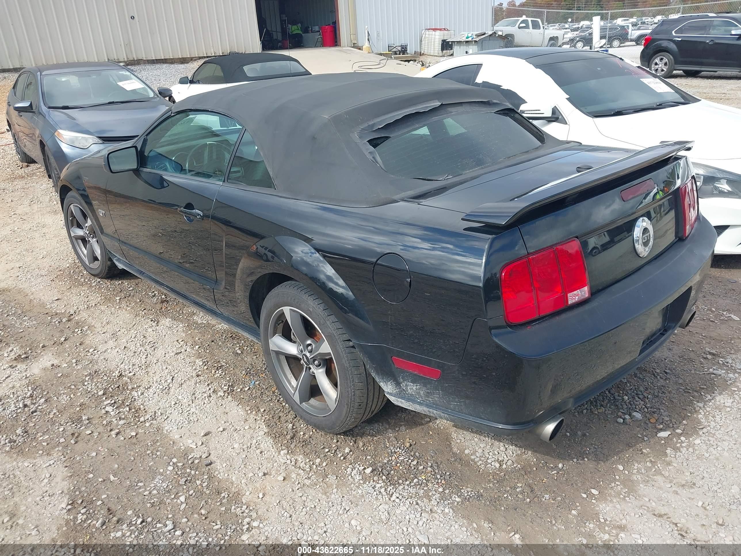 FORD MUSTANG image 3