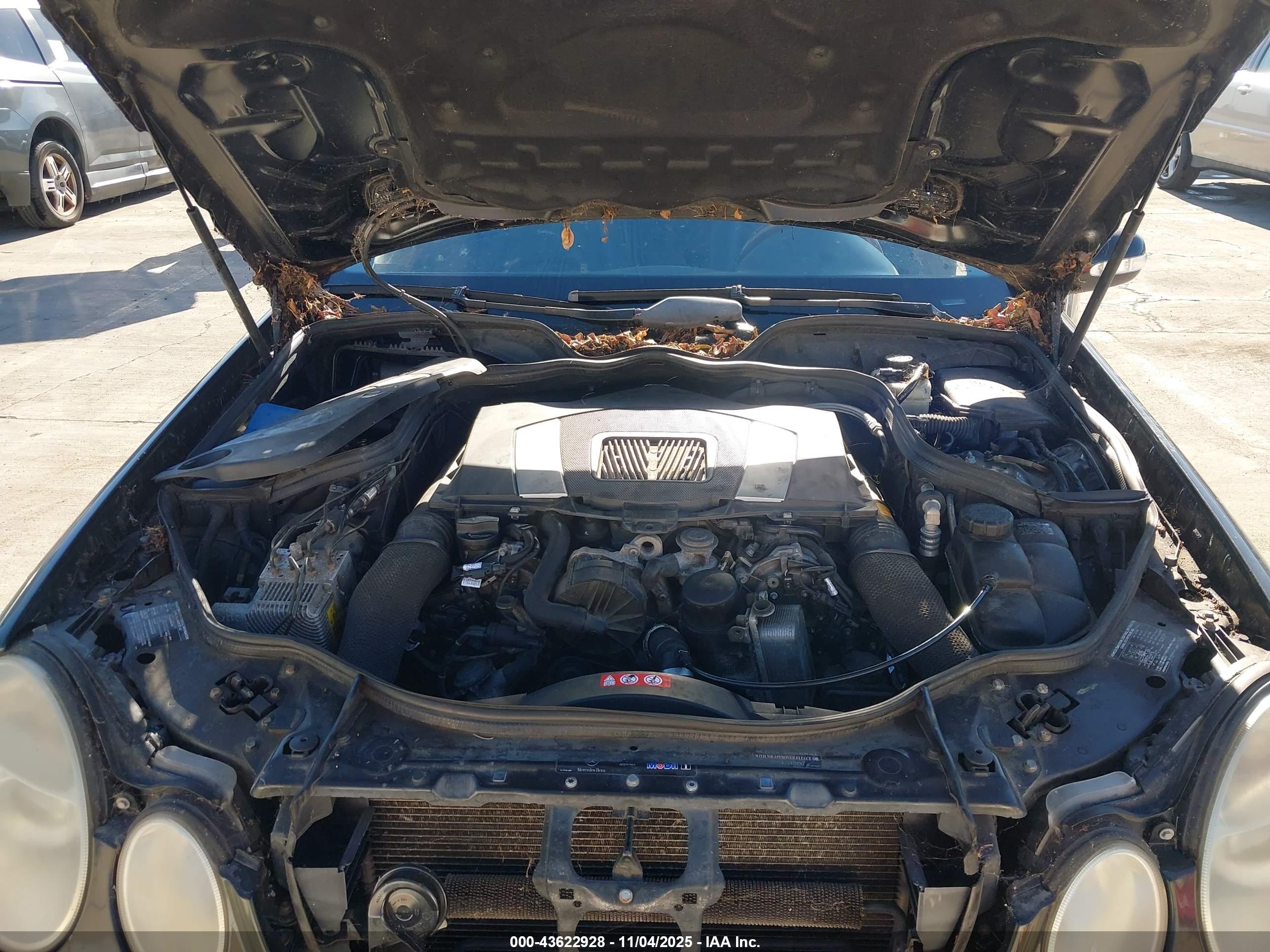 MERCEDES-BENZ E image 10