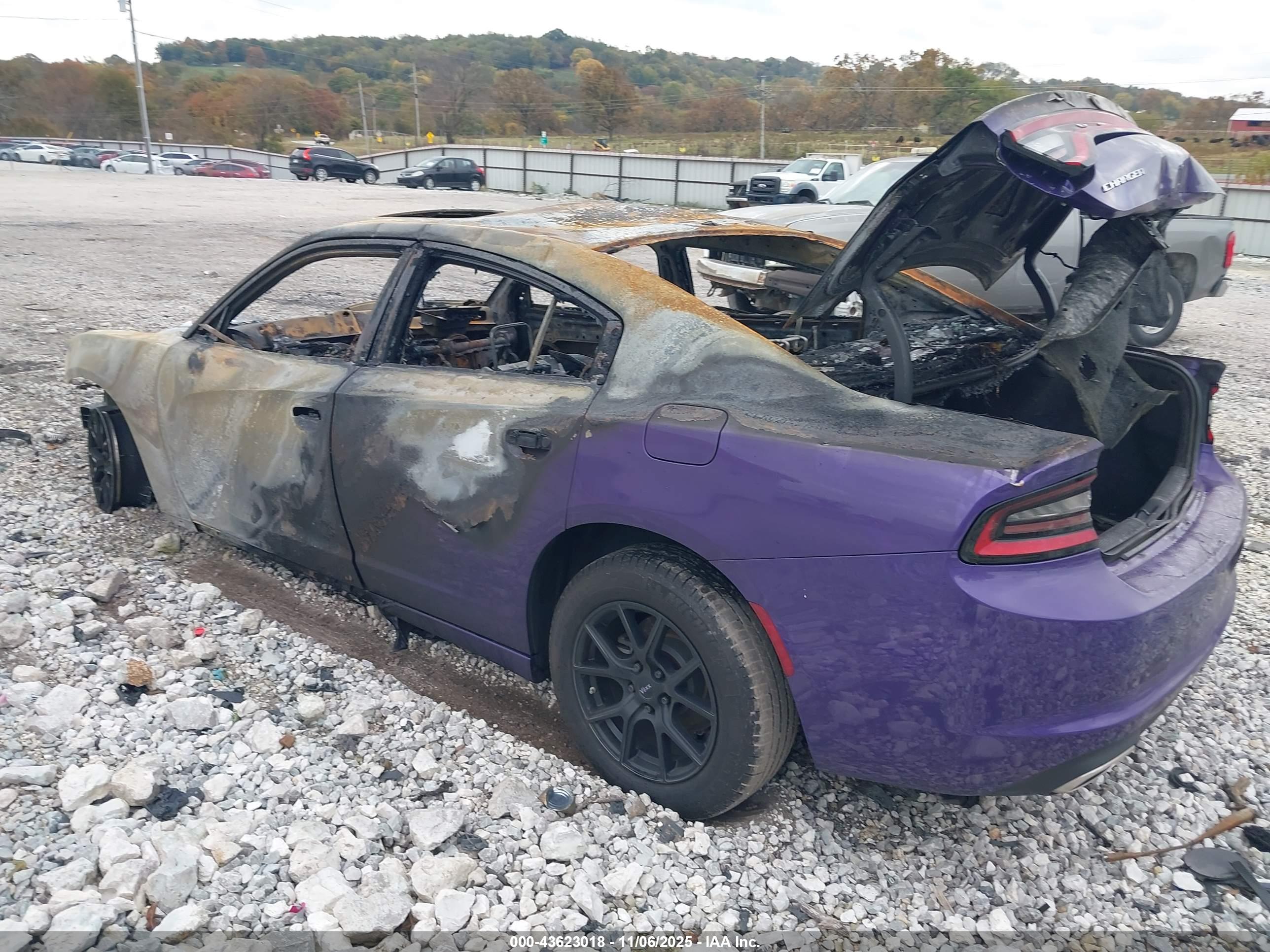 DODGE CHARGER image 3