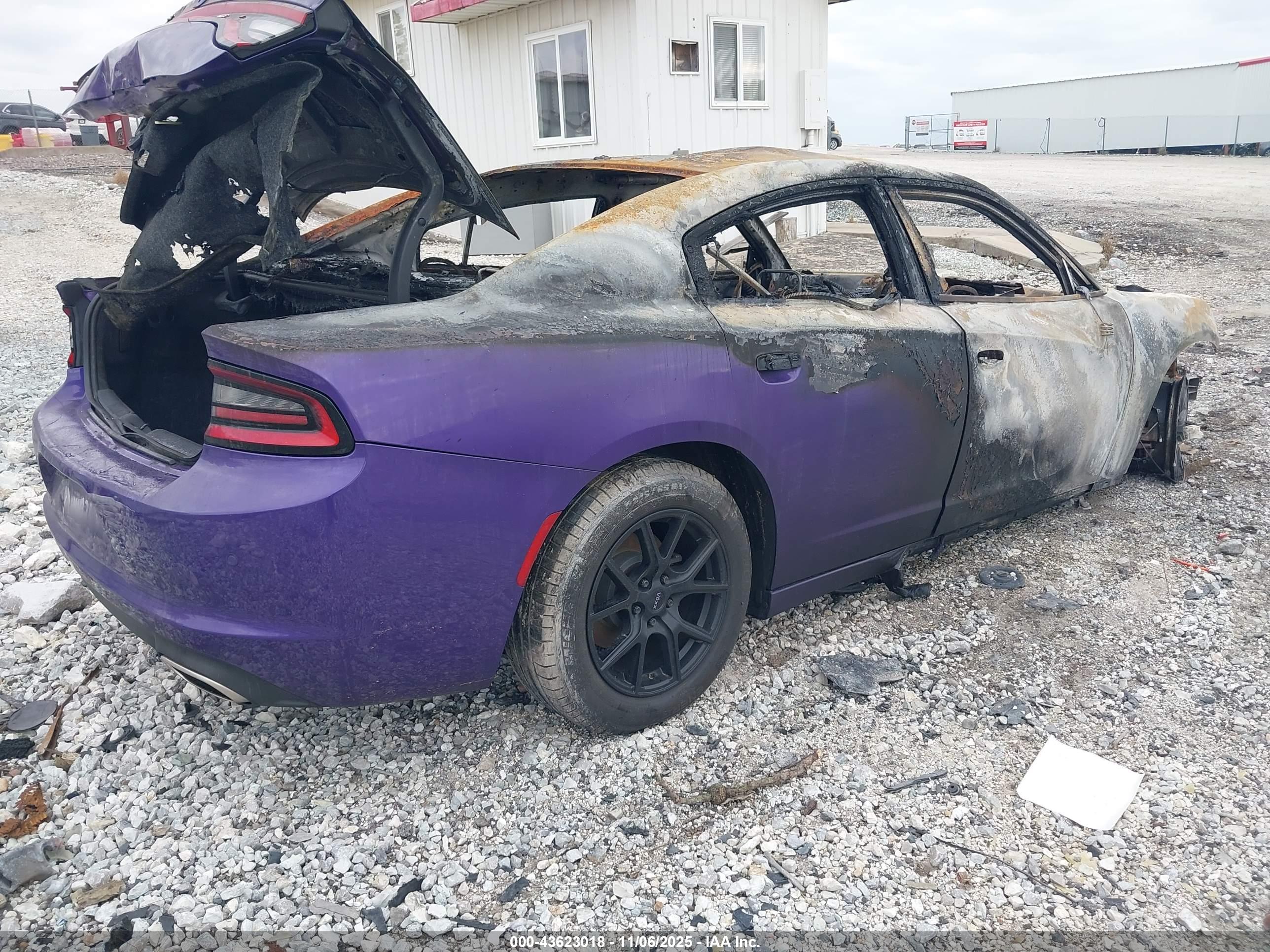 DODGE CHARGER image 4
