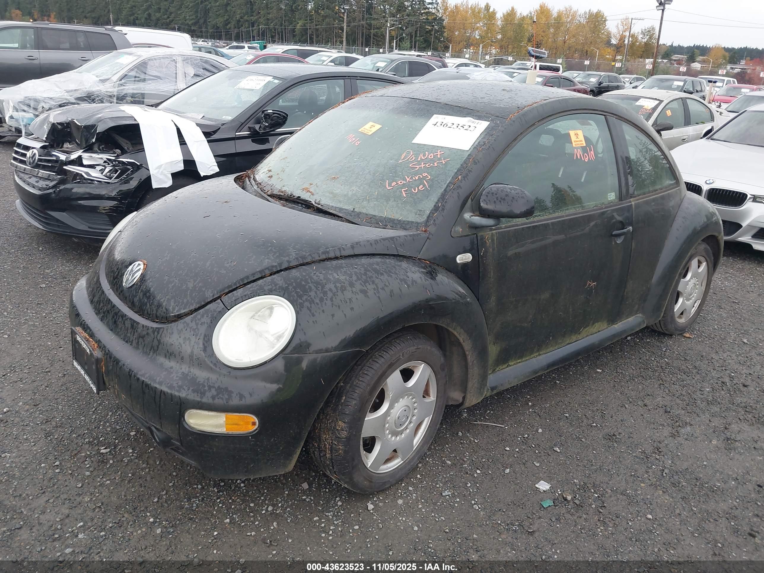 VOLKSWAGEN NEW image 2