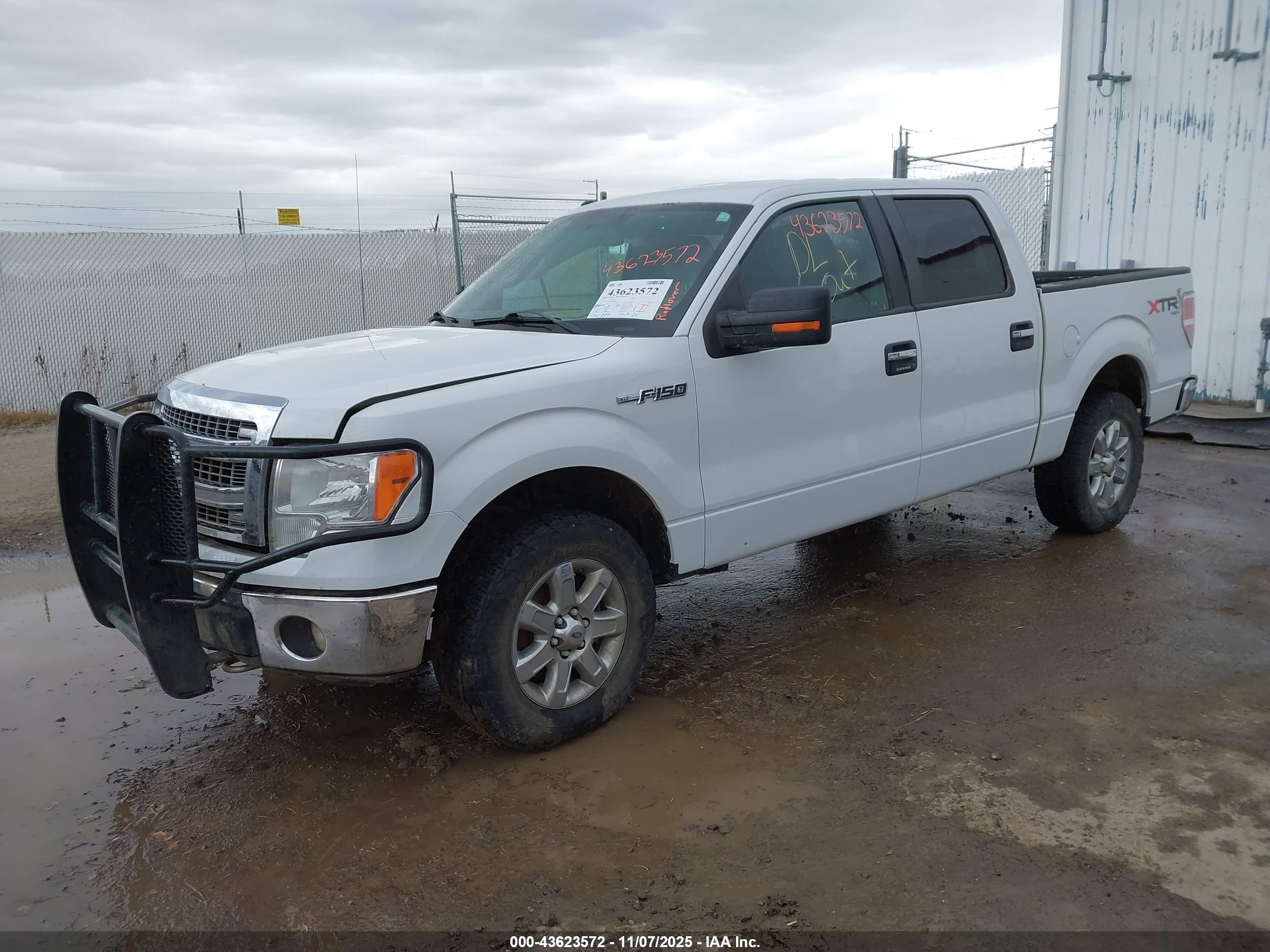 FORD F-150 image 2