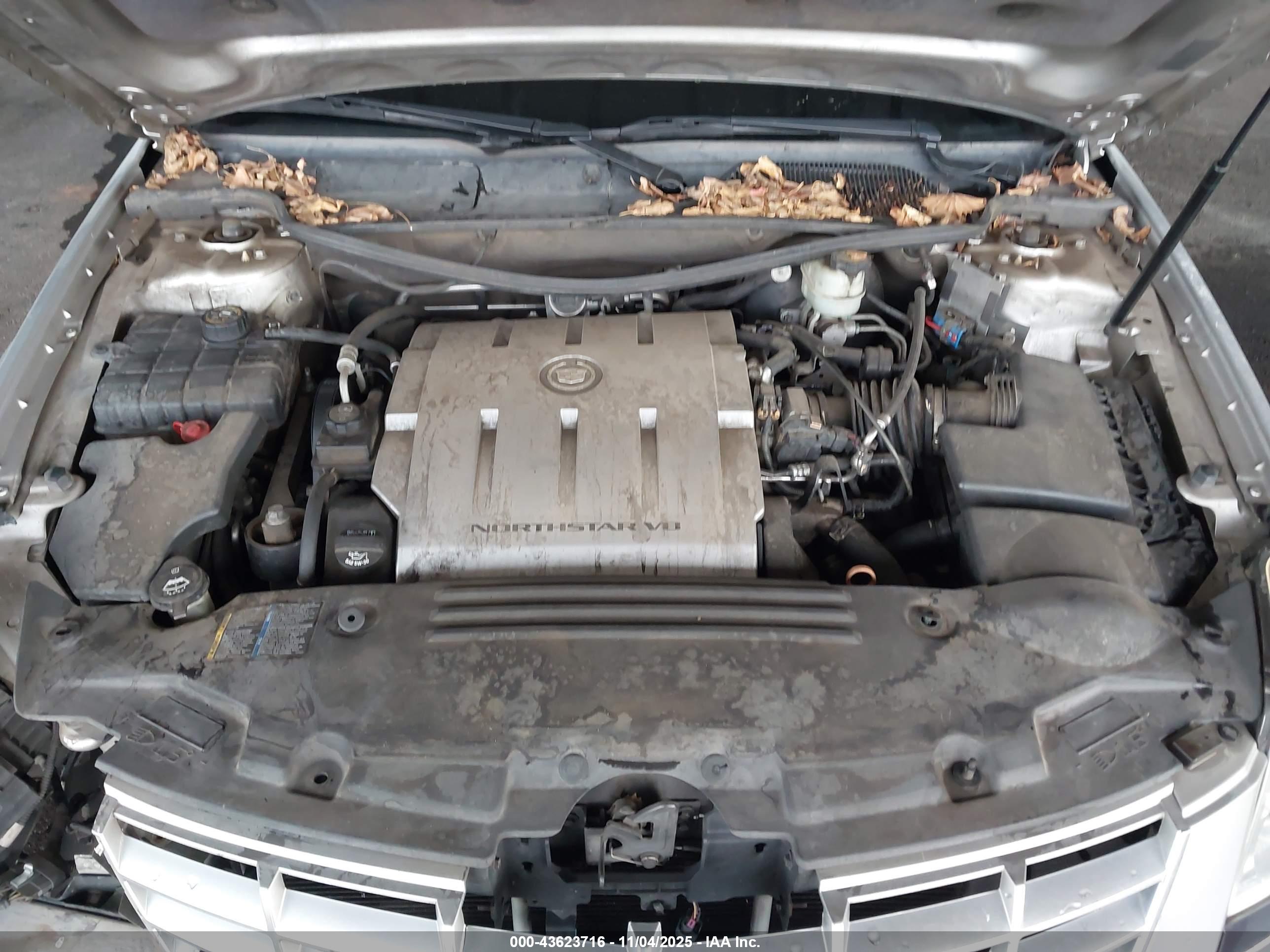 CADILLAC DTS image 10