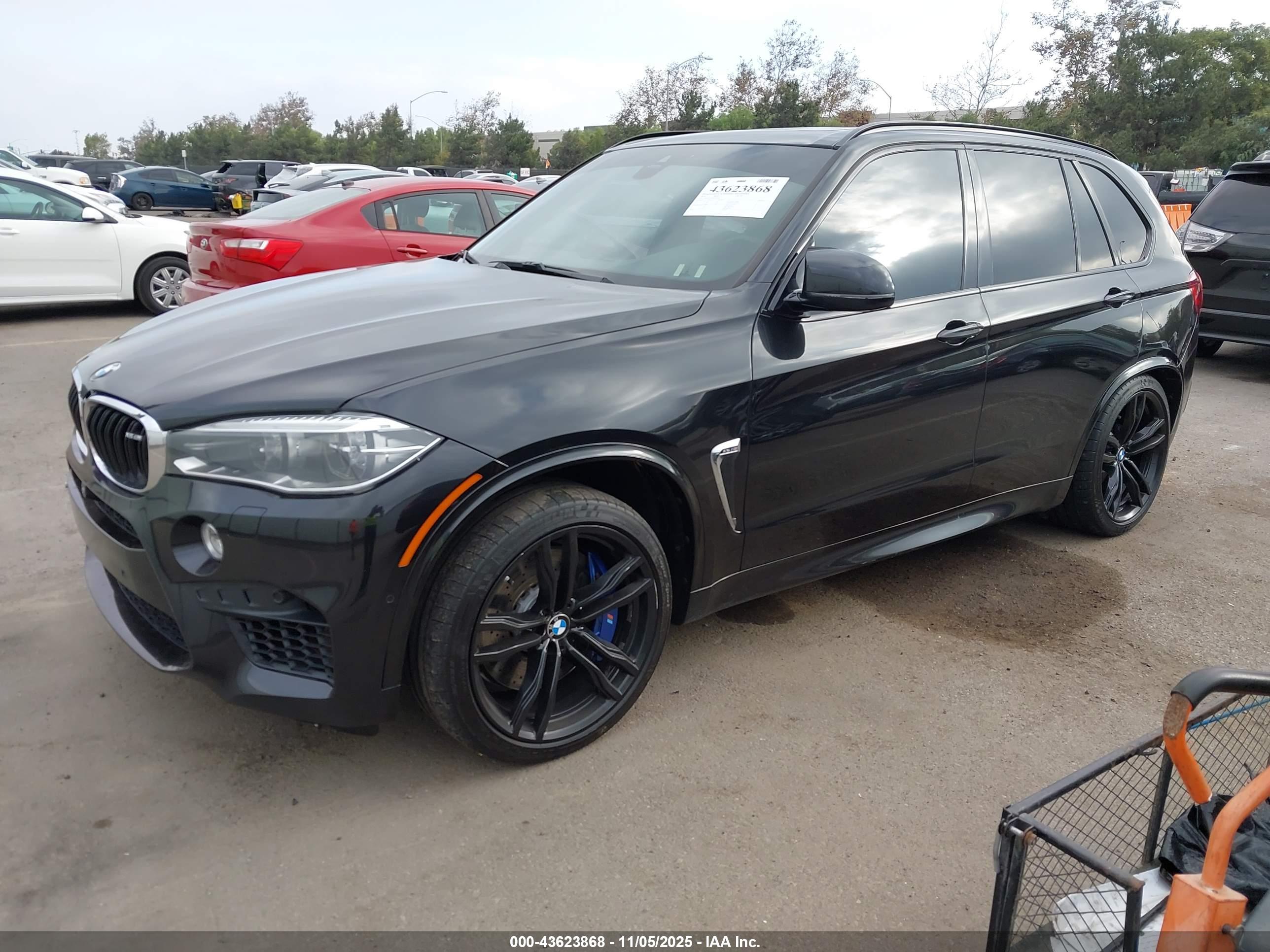 BMW X5 image 2