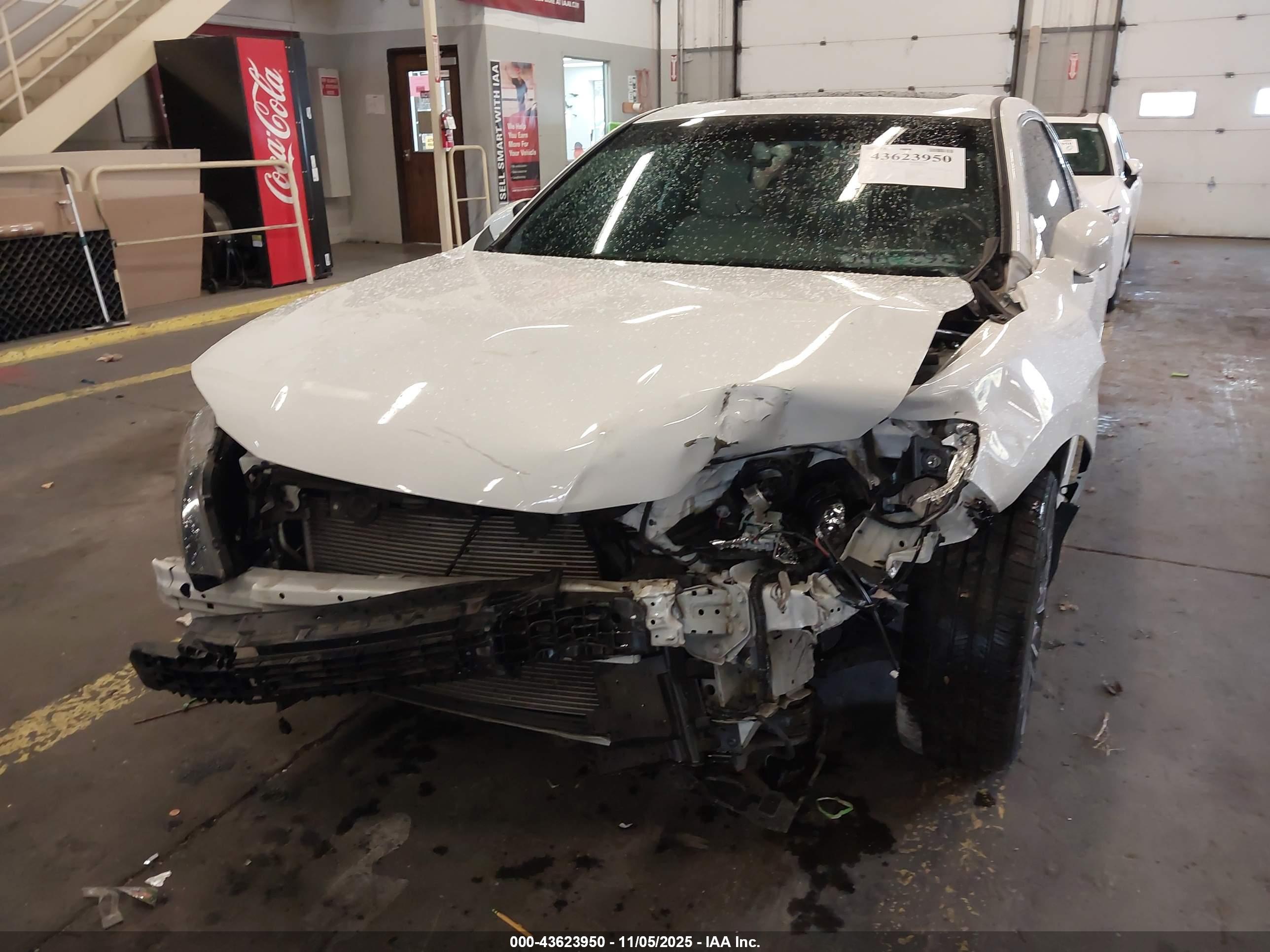 HONDA ACCORD image 6