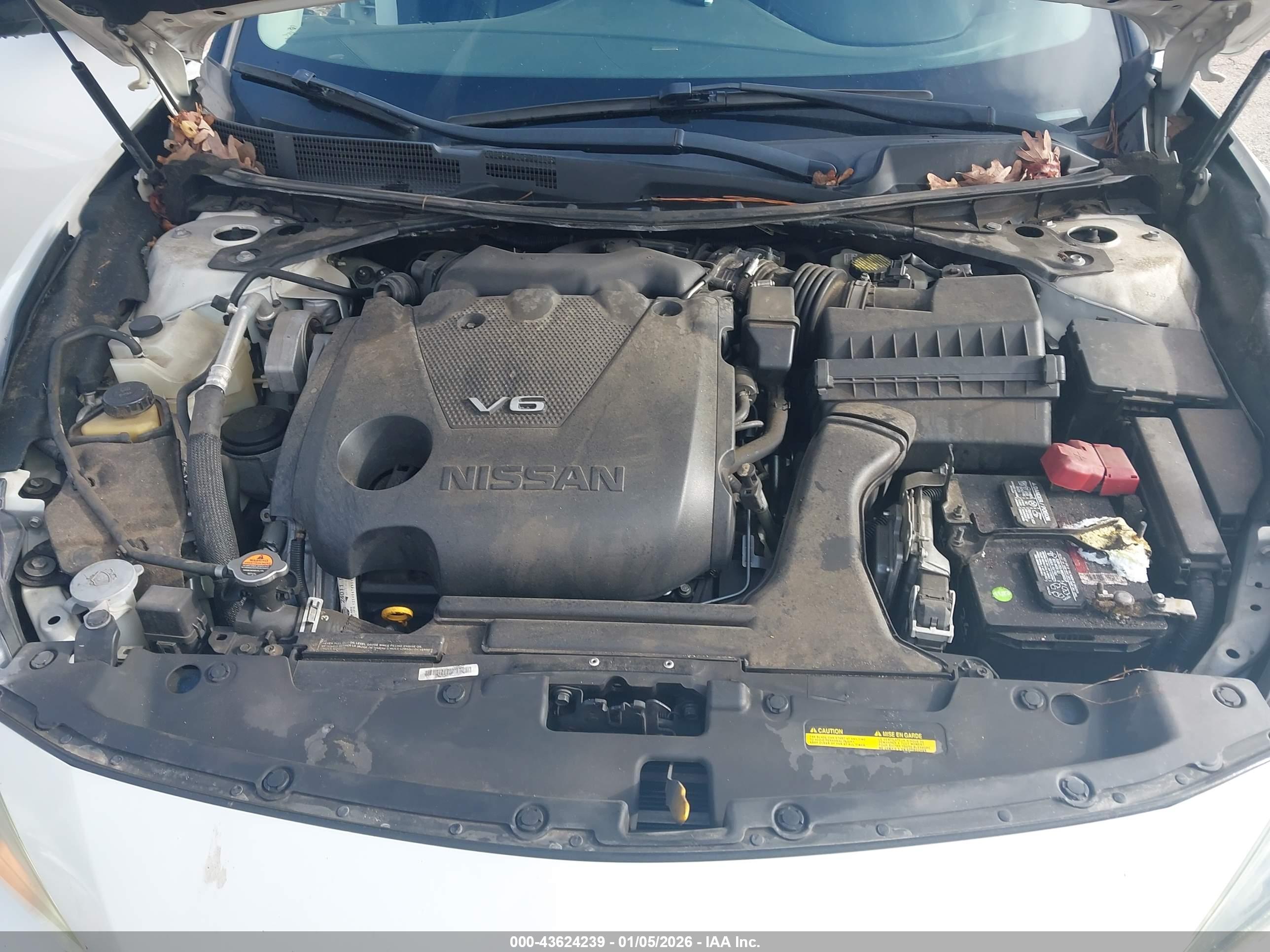 NISSAN MAXIMA image 10