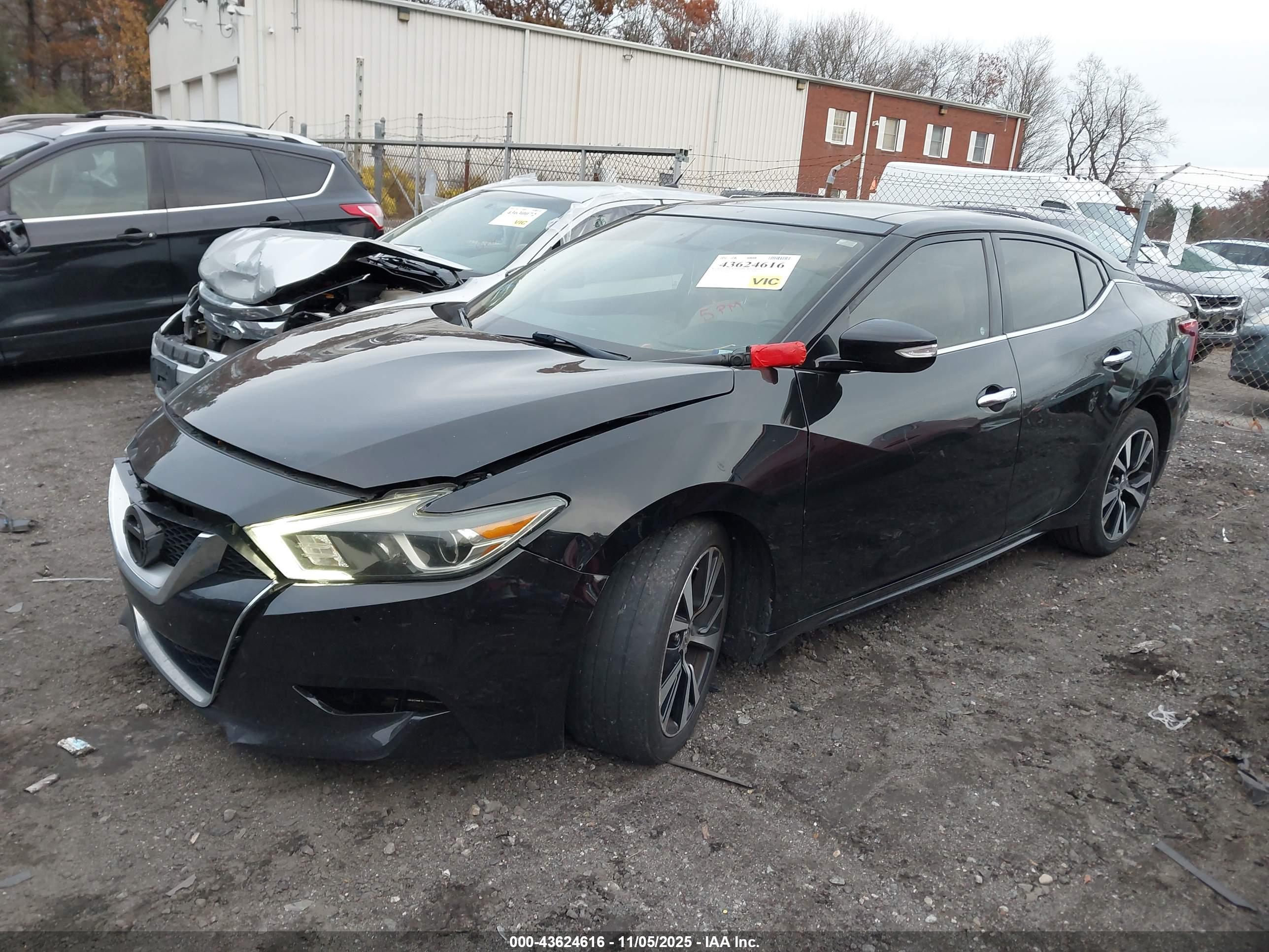 NISSAN MAXIMA image 2