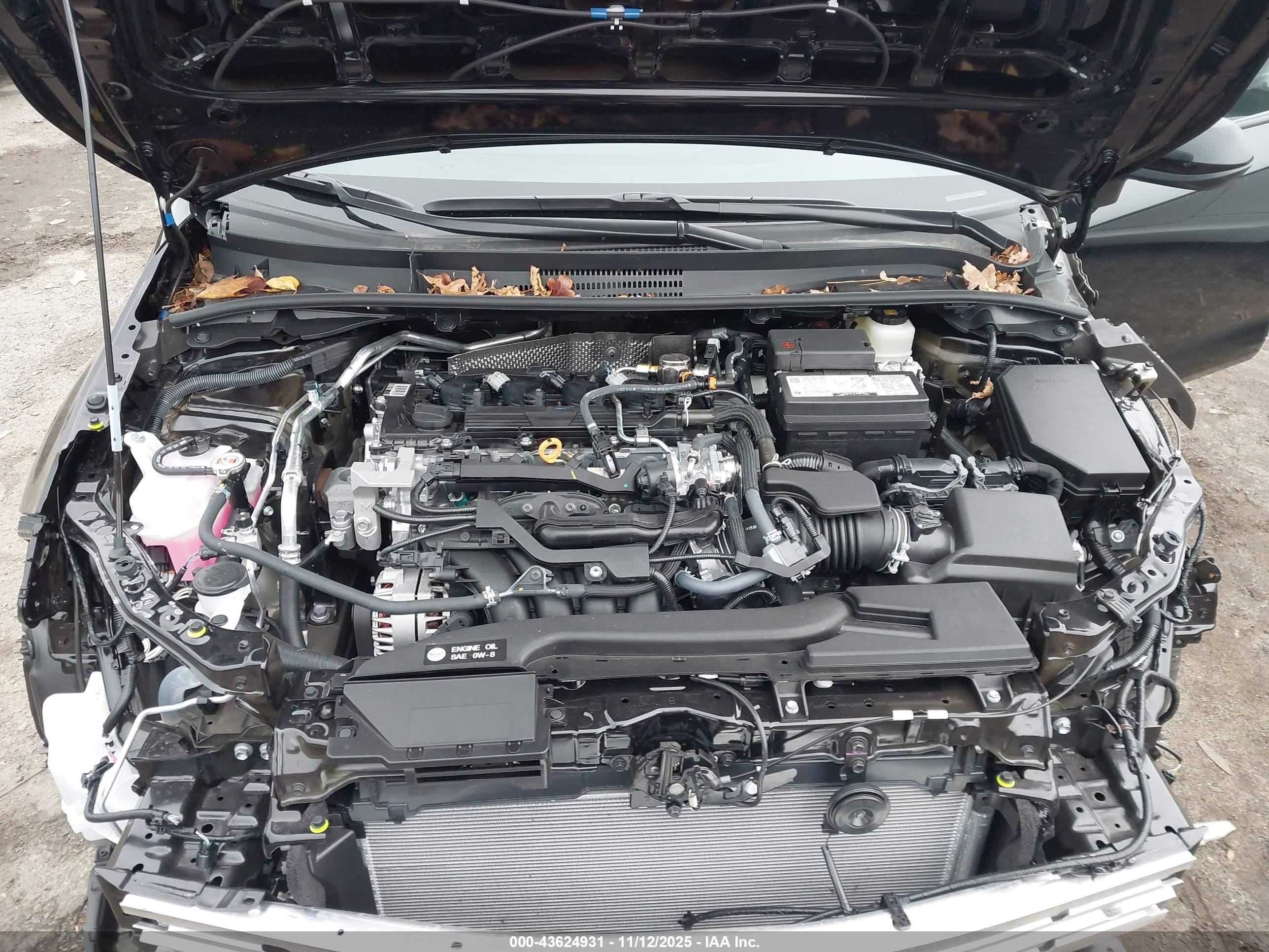 TOYOTA COROLLA image 10
