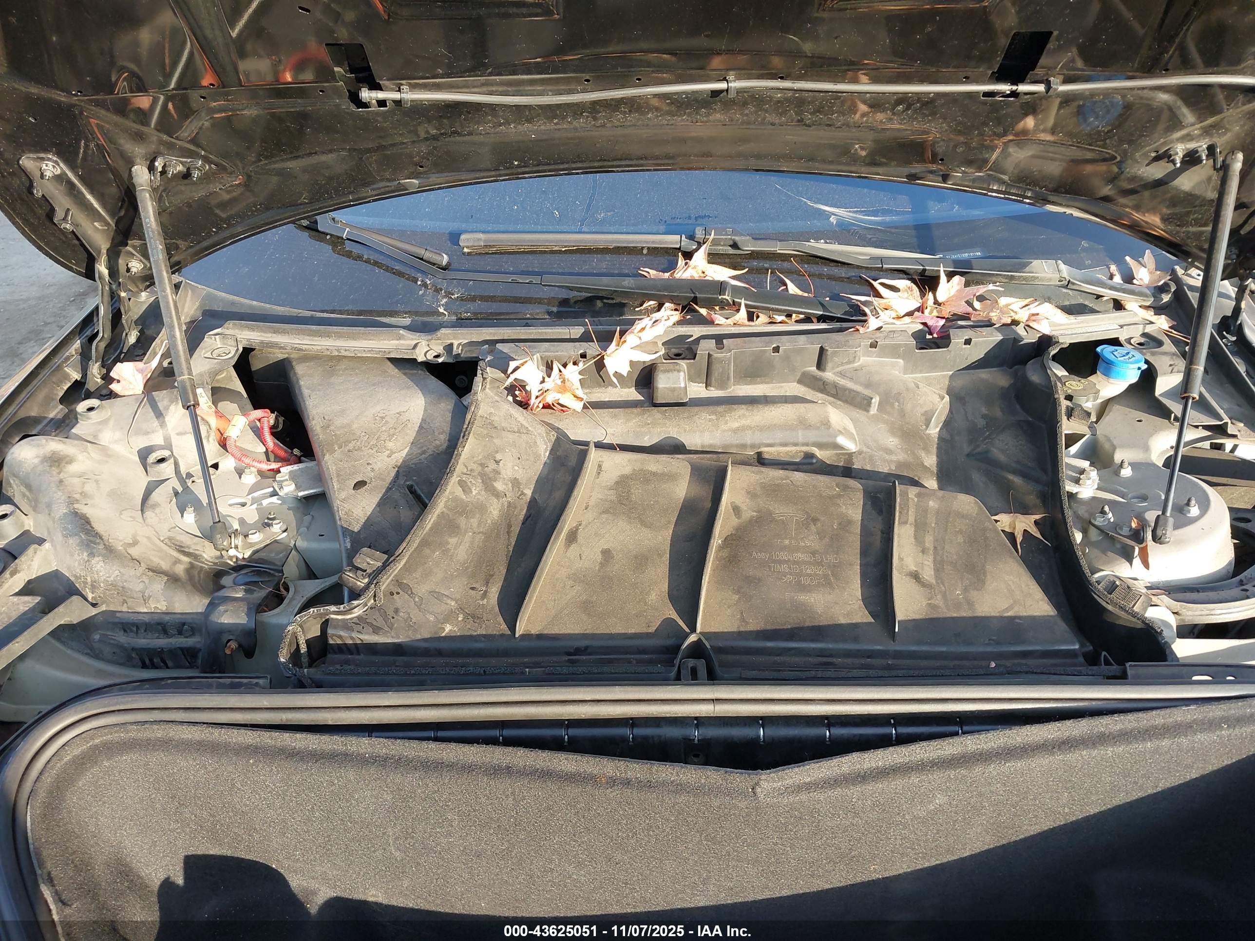 TESLA MODEL image 10