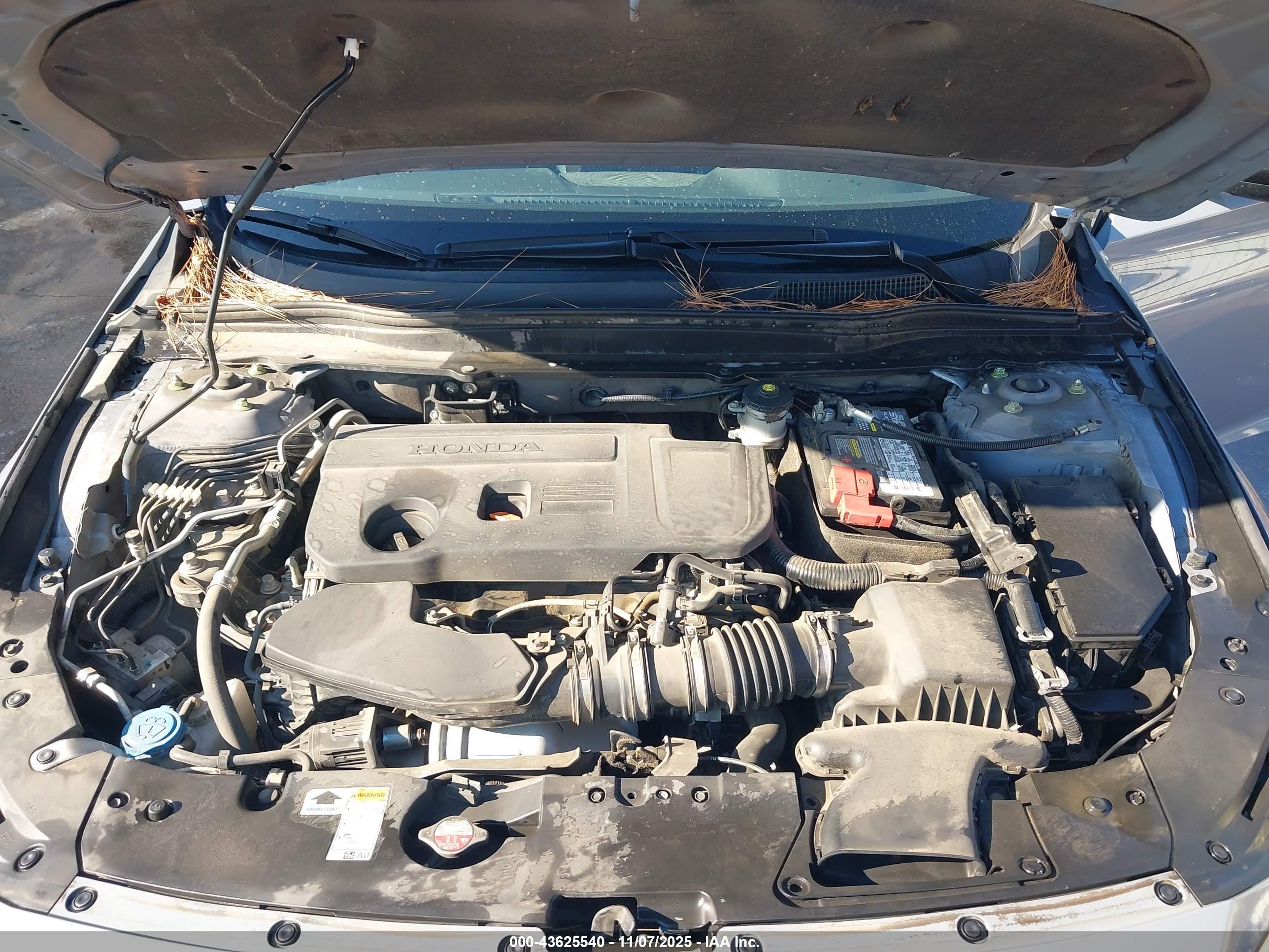 HONDA ACCORD image 10