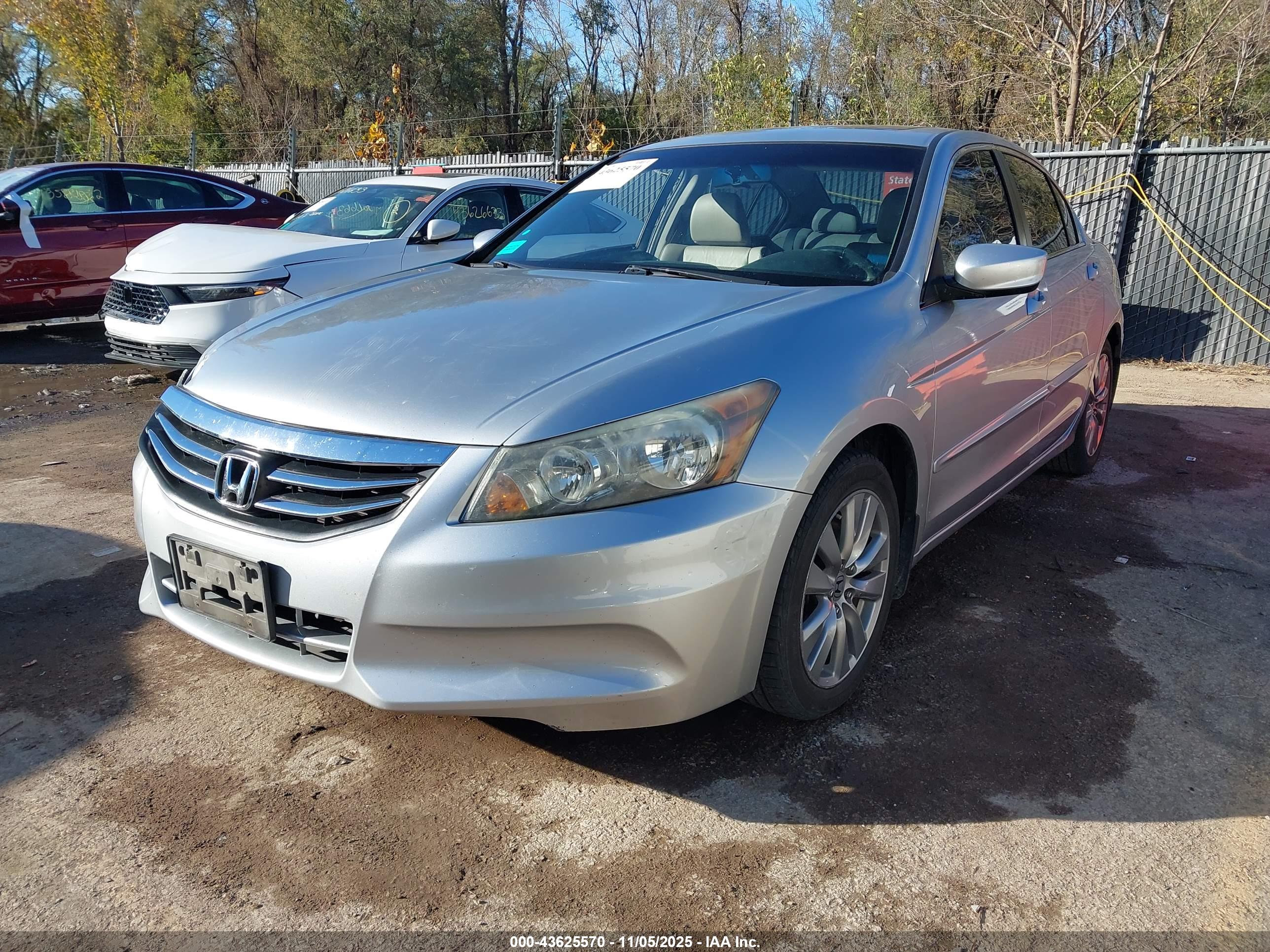 HONDA ACCORD image 2
