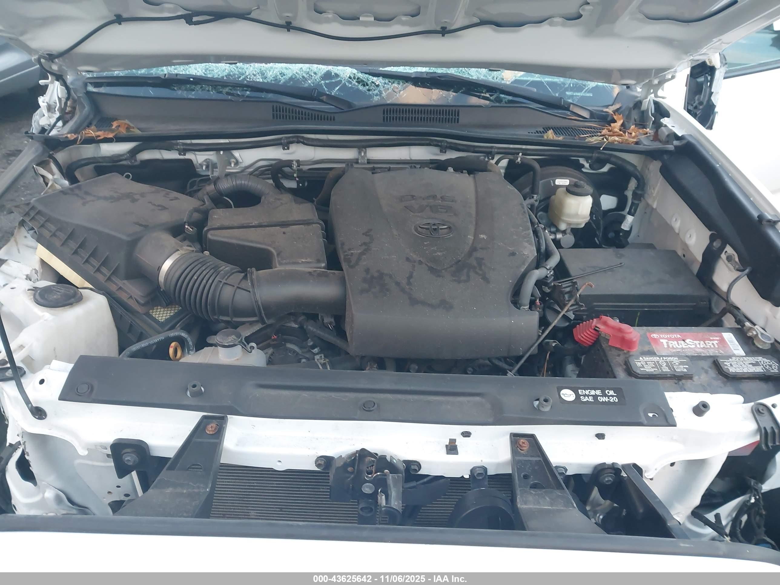 TOYOTA TACOMA image 10