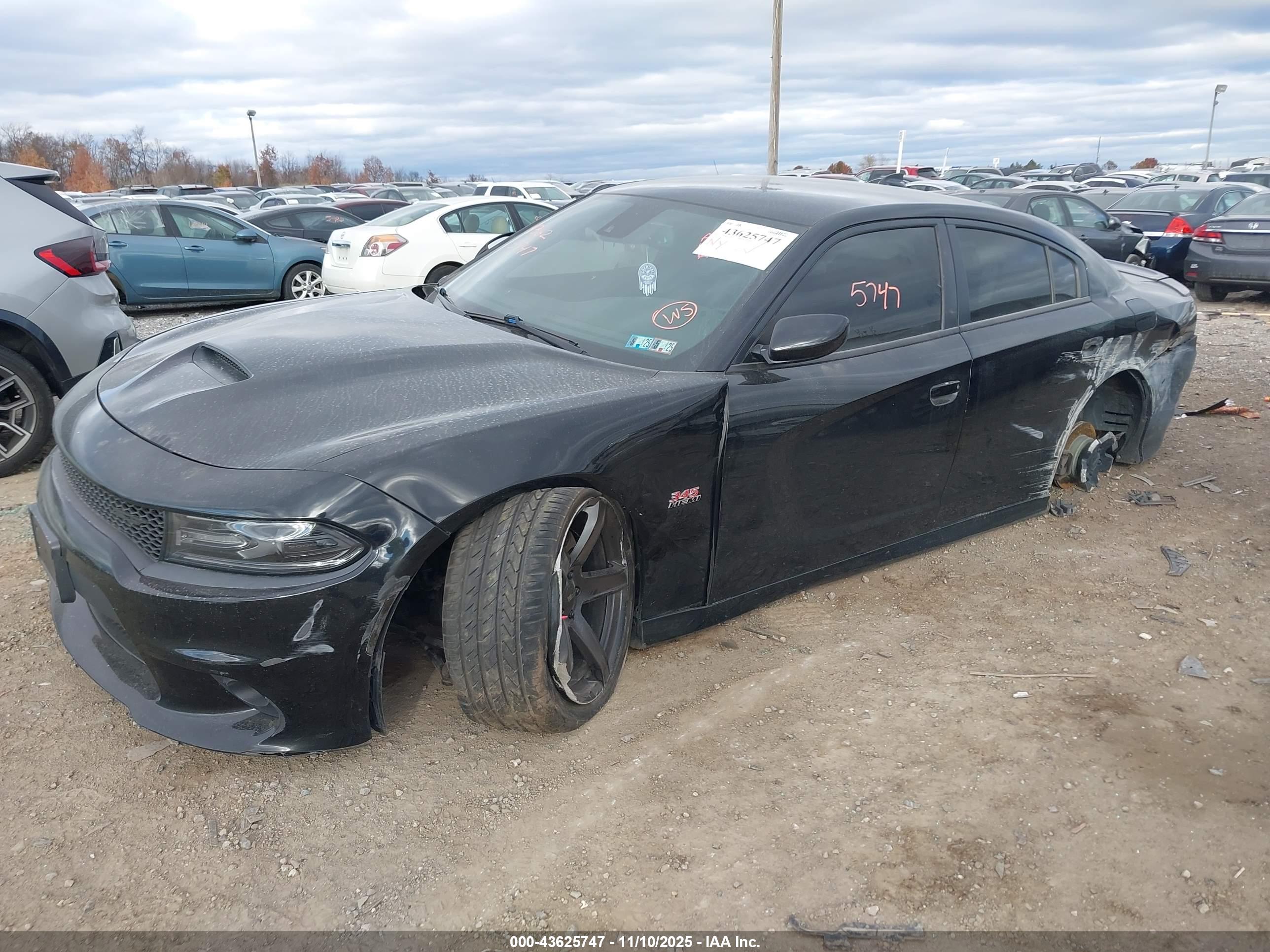 DODGE CHARGER image 2