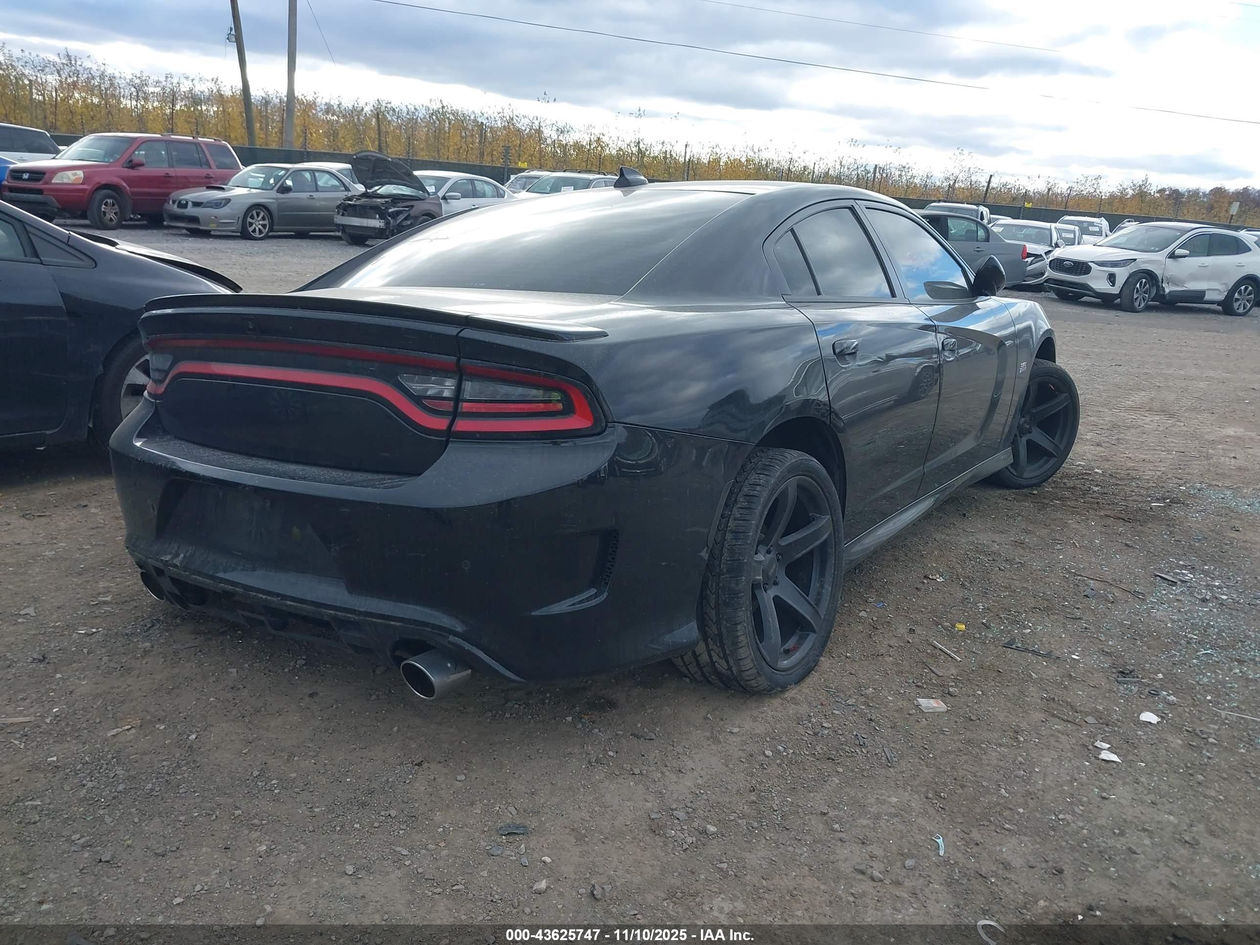 DODGE CHARGER image 4