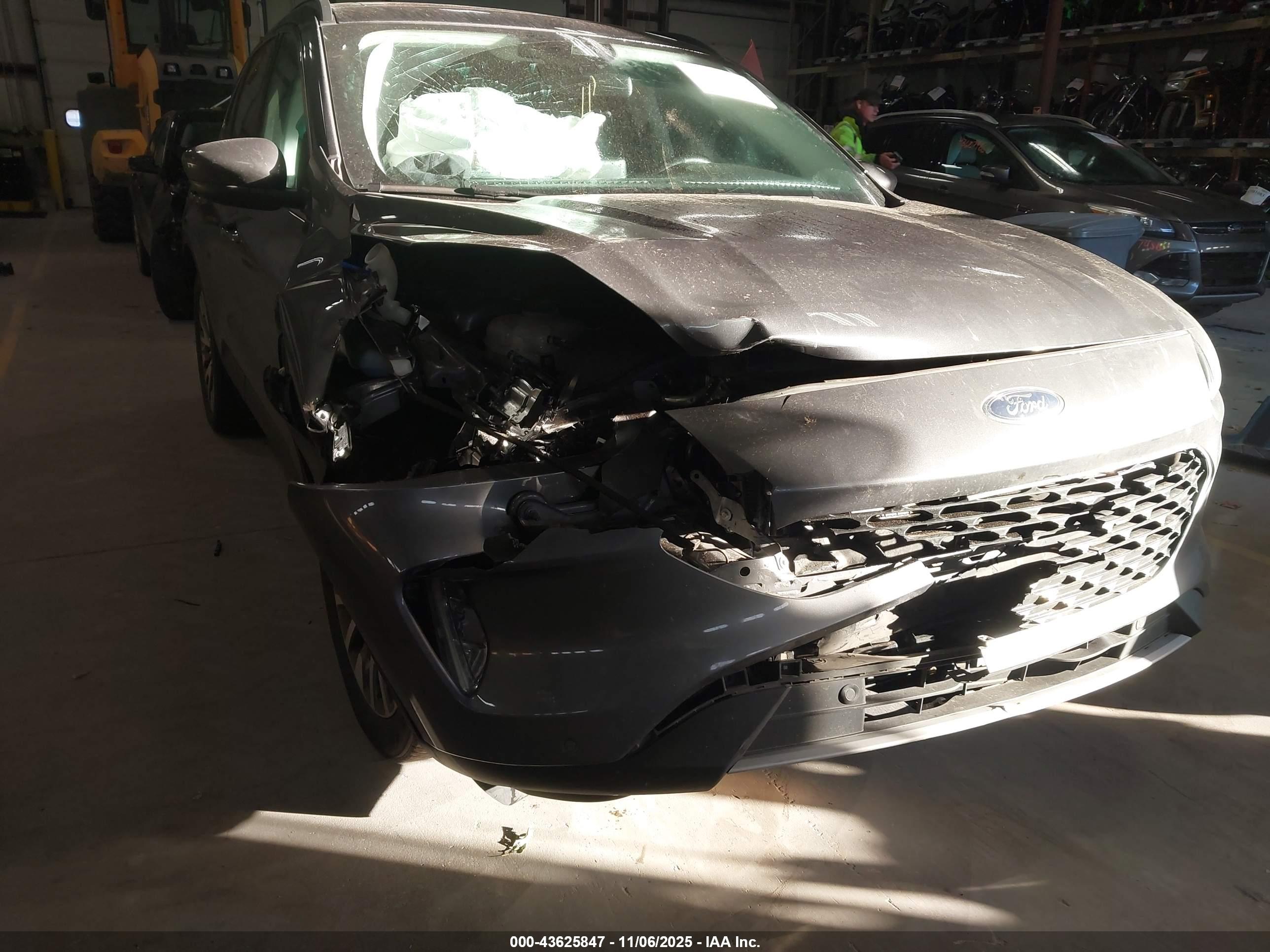 FORD ESCAPE image 6