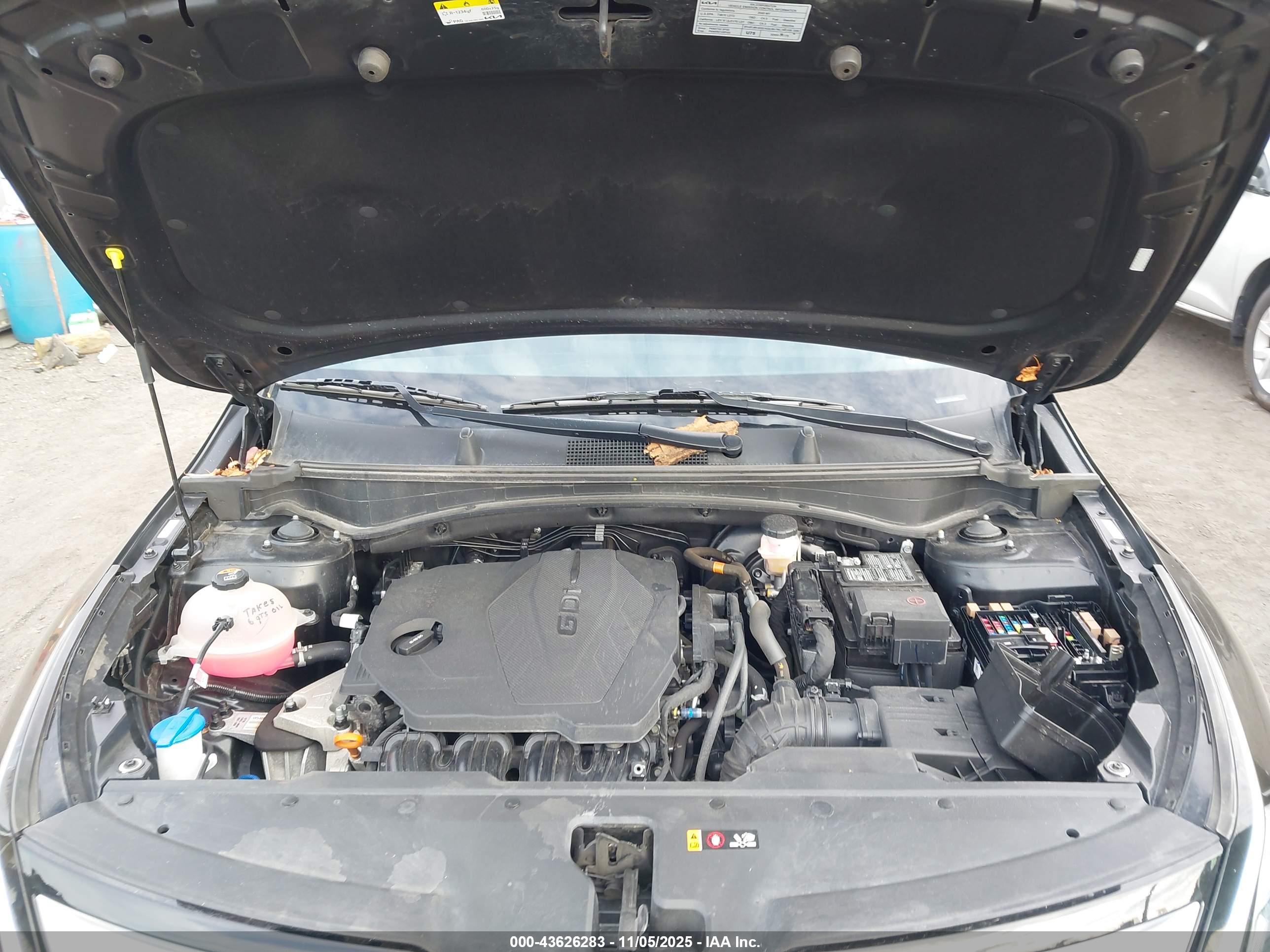 KIA SPORTAGE image 10