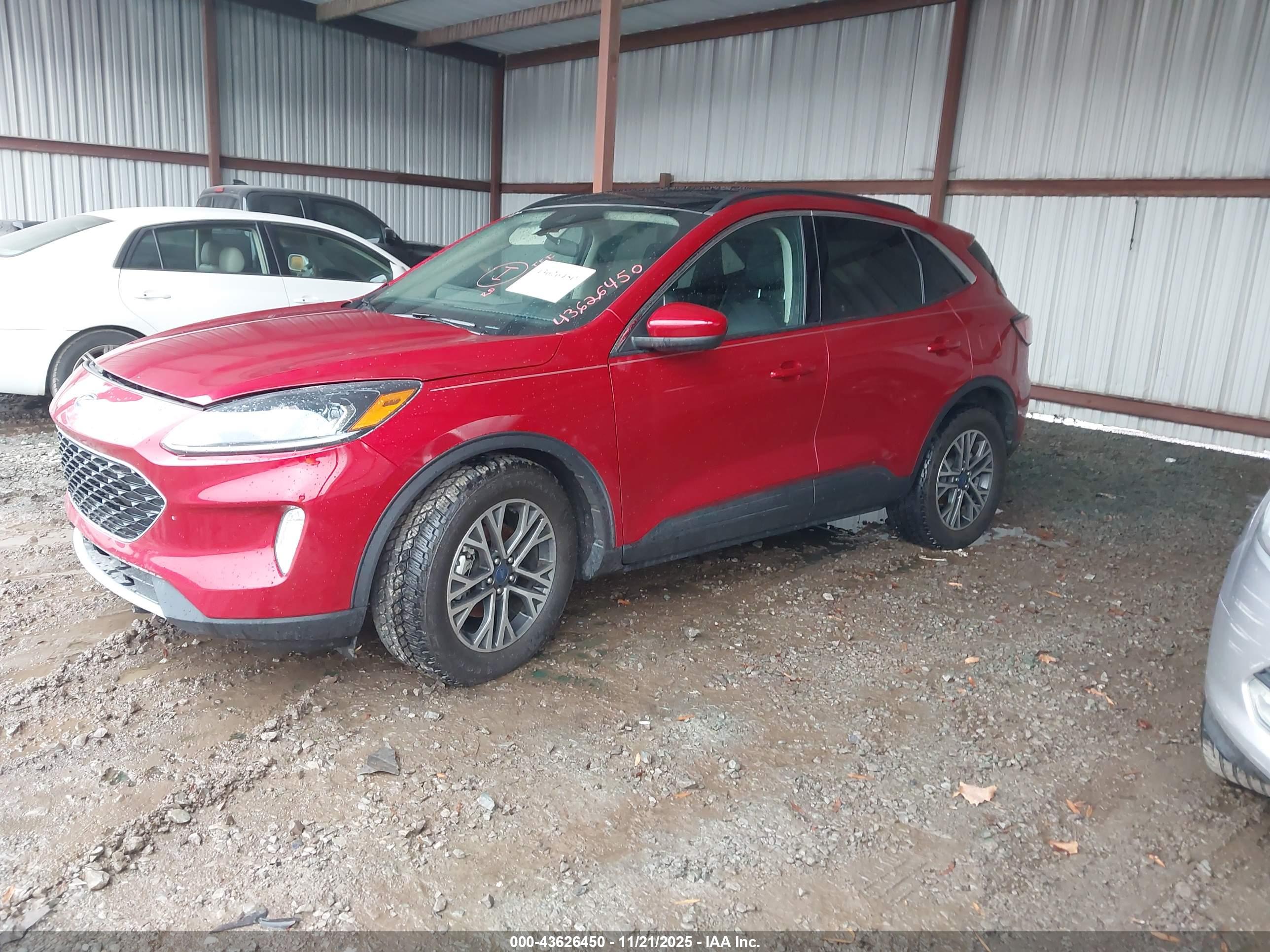 FORD ESCAPE image 2
