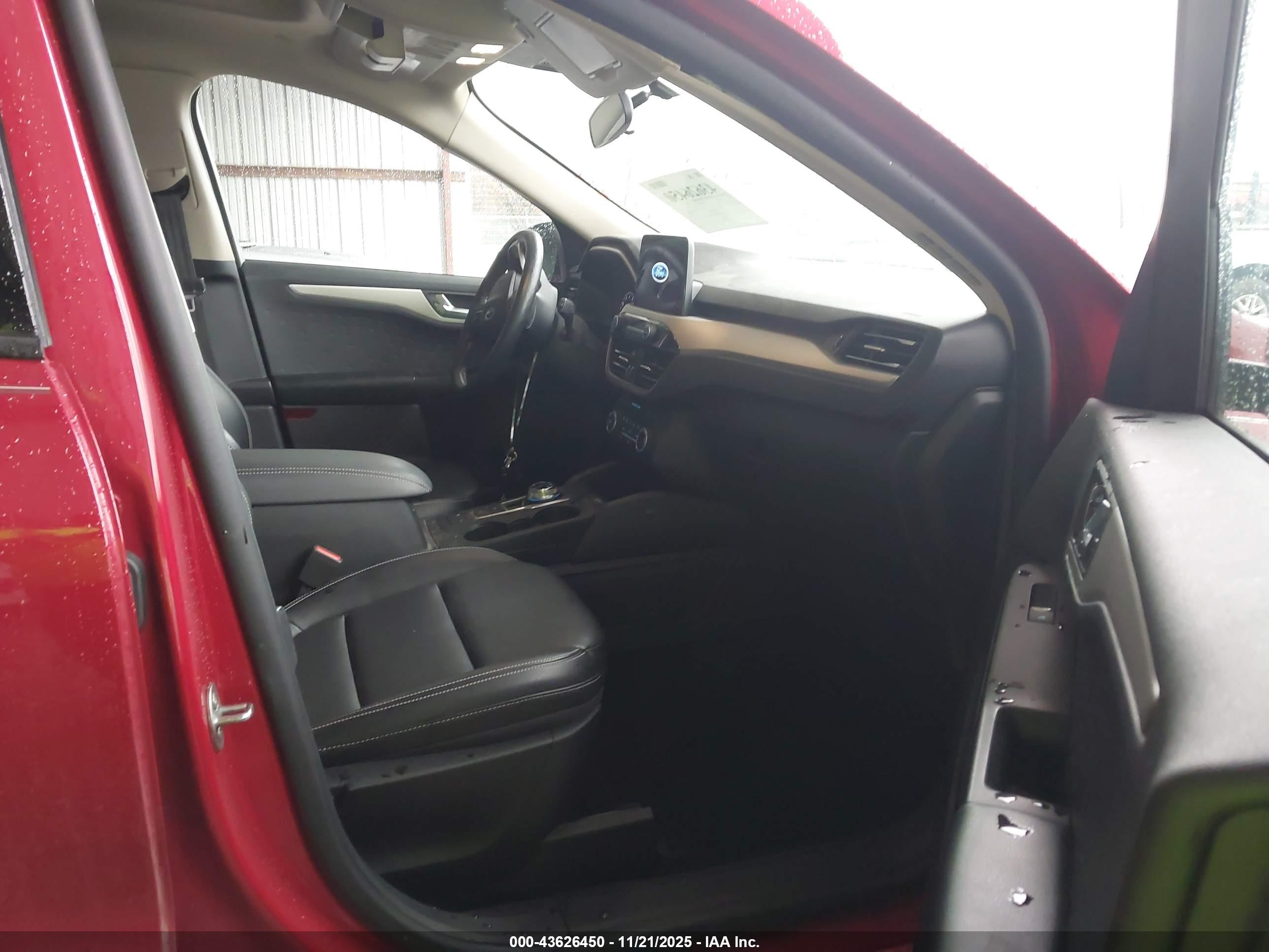 FORD ESCAPE image 5
