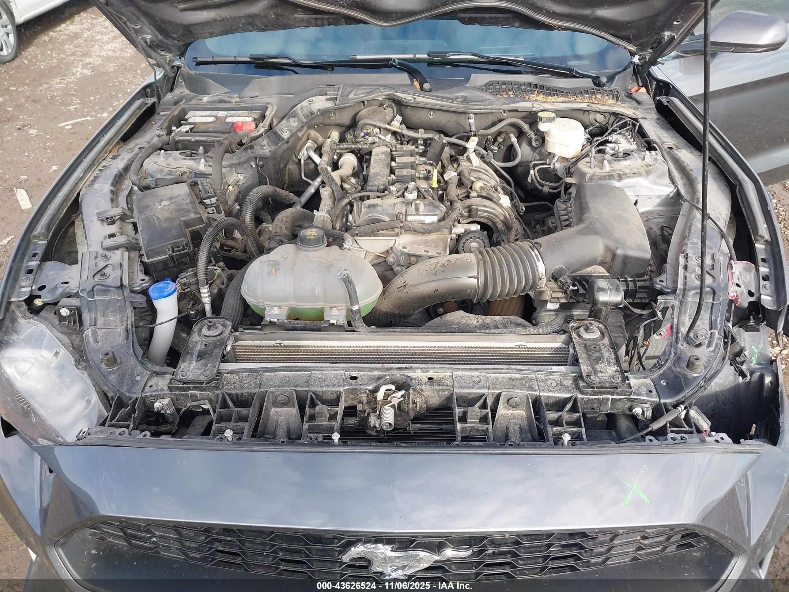 FORD MUSTANG image 10