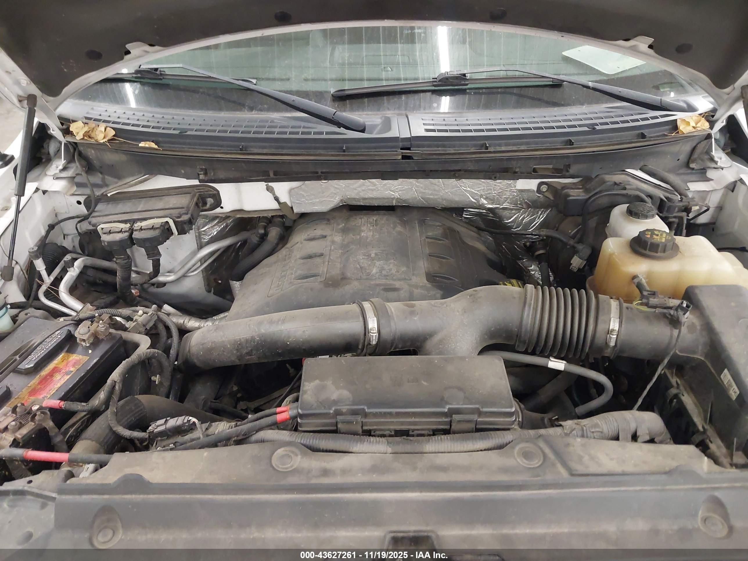FORD F-150 image 10