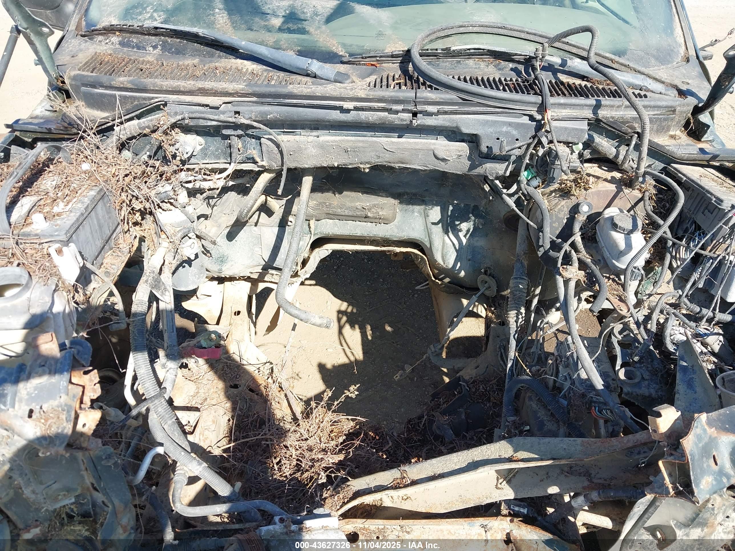 FORD F-150 image 10