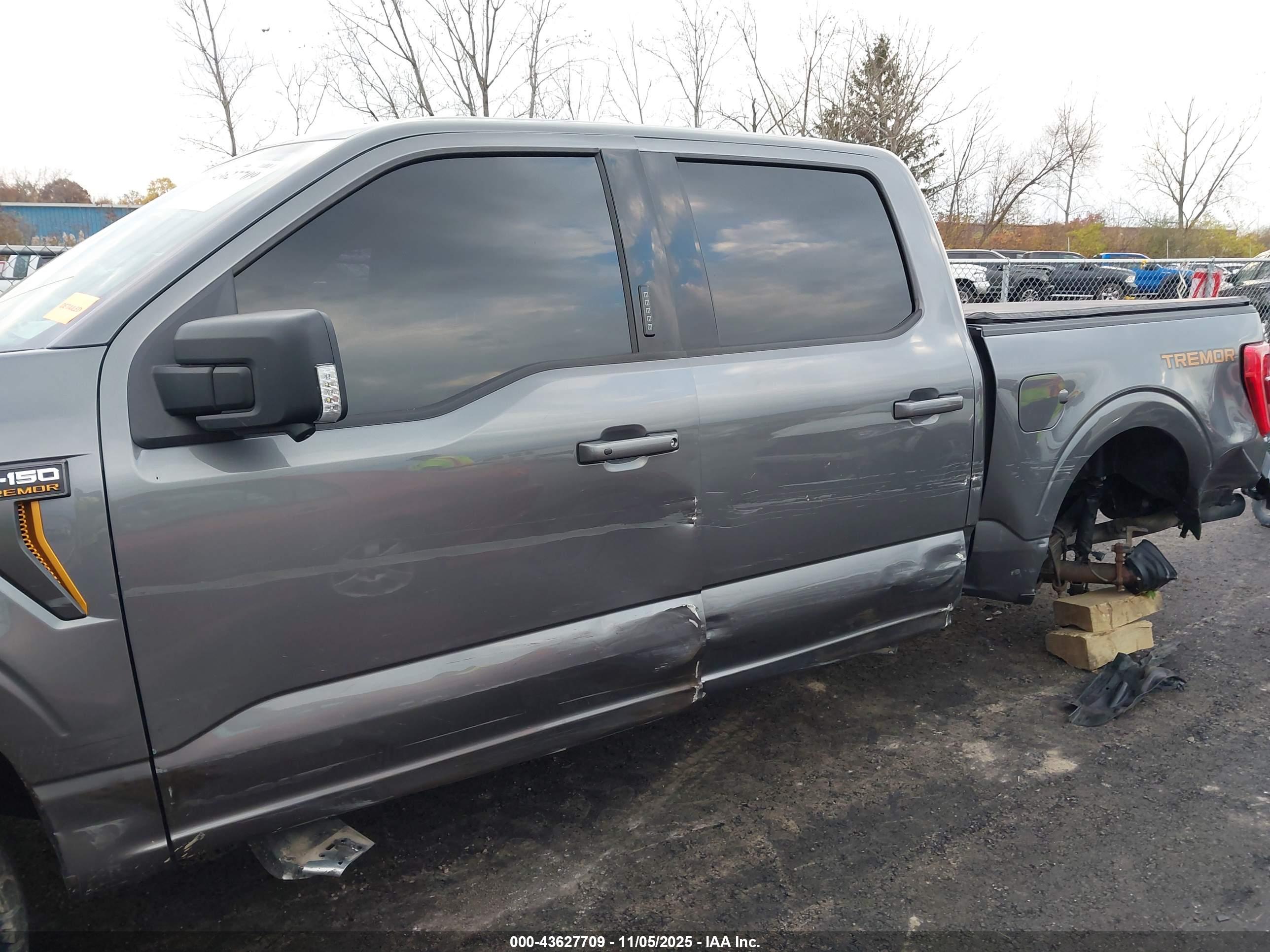 FORD F-150 image 6