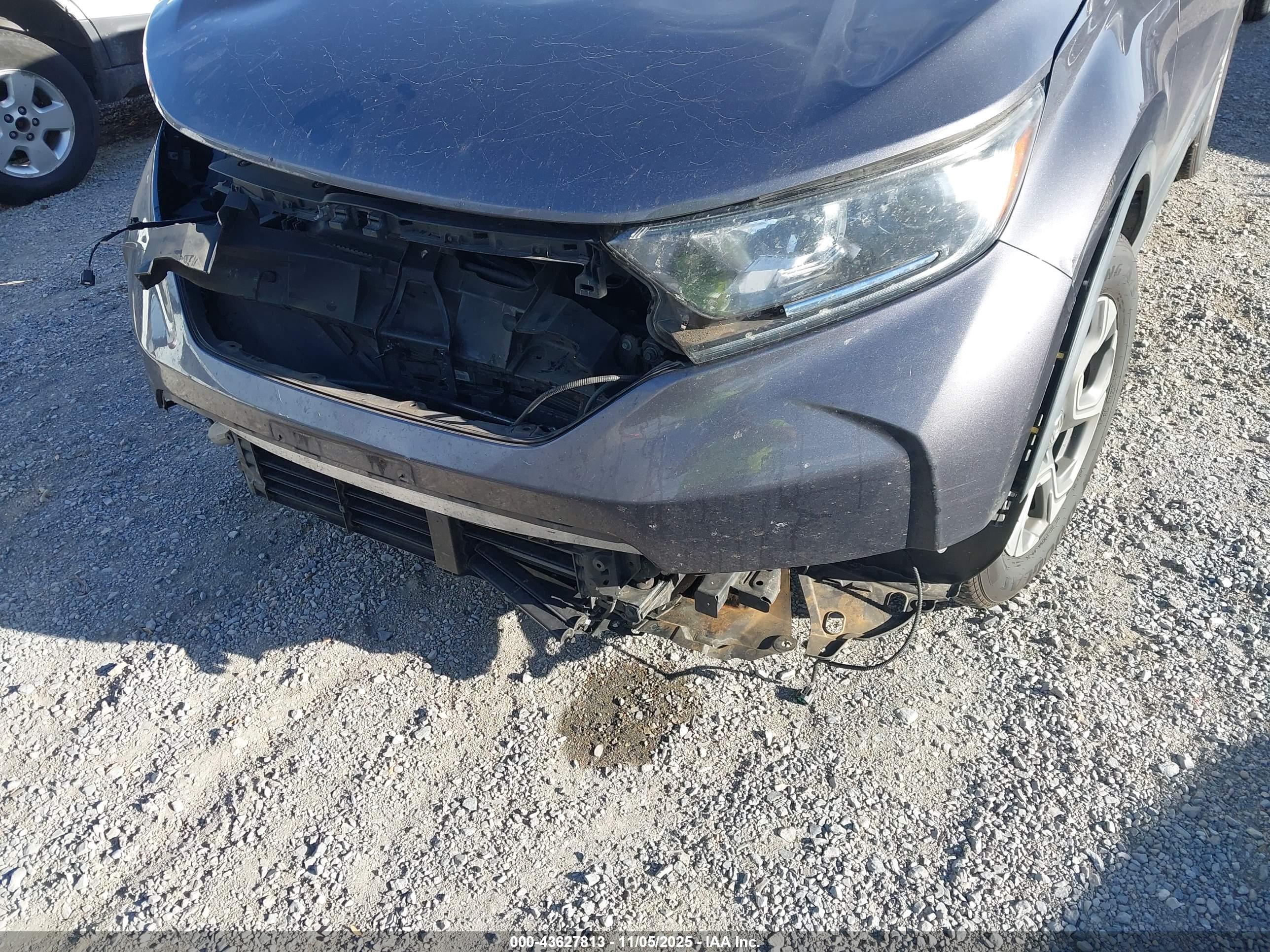 HONDA CR-V image 6