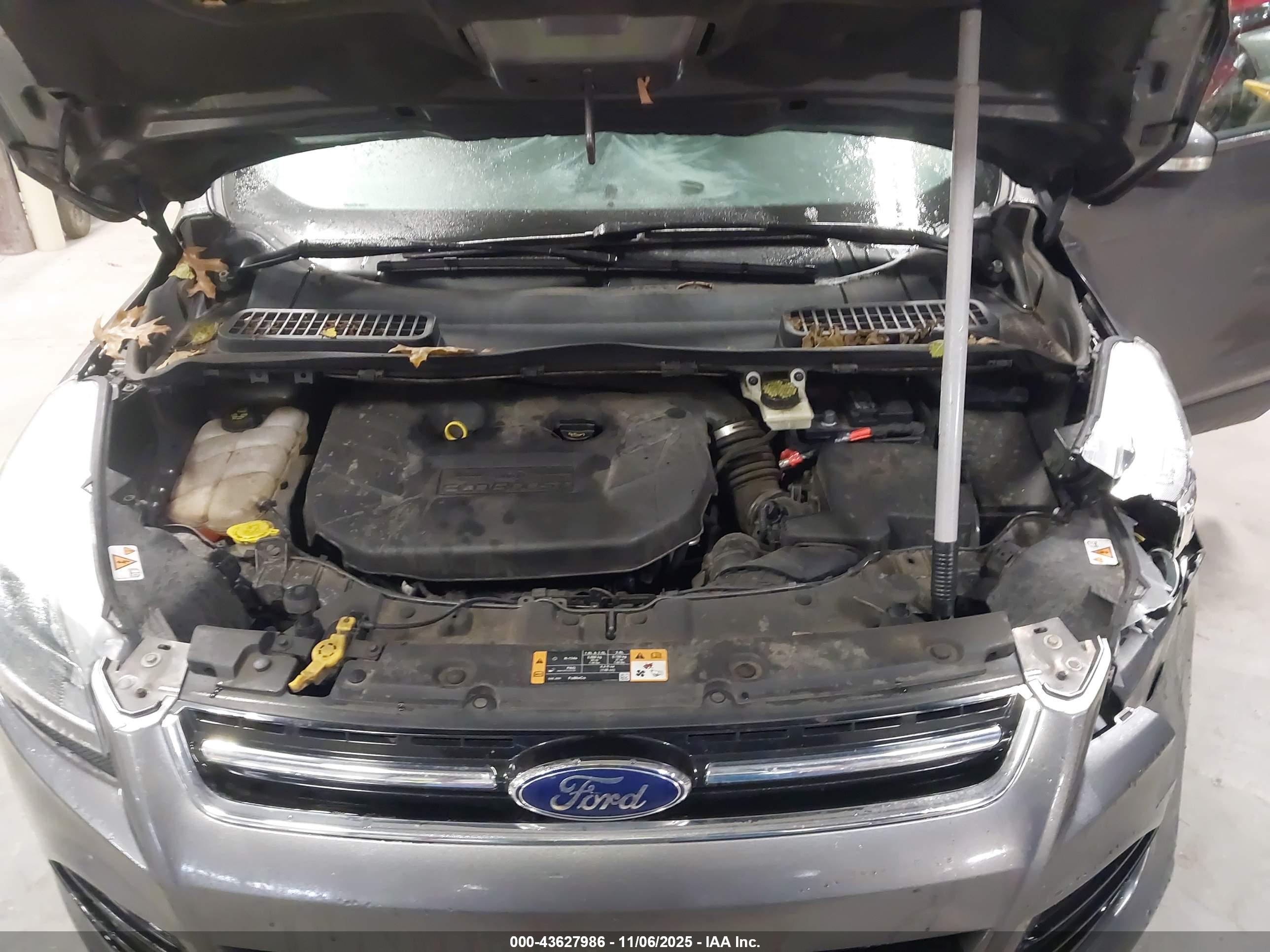 FORD ESCAPE image 10