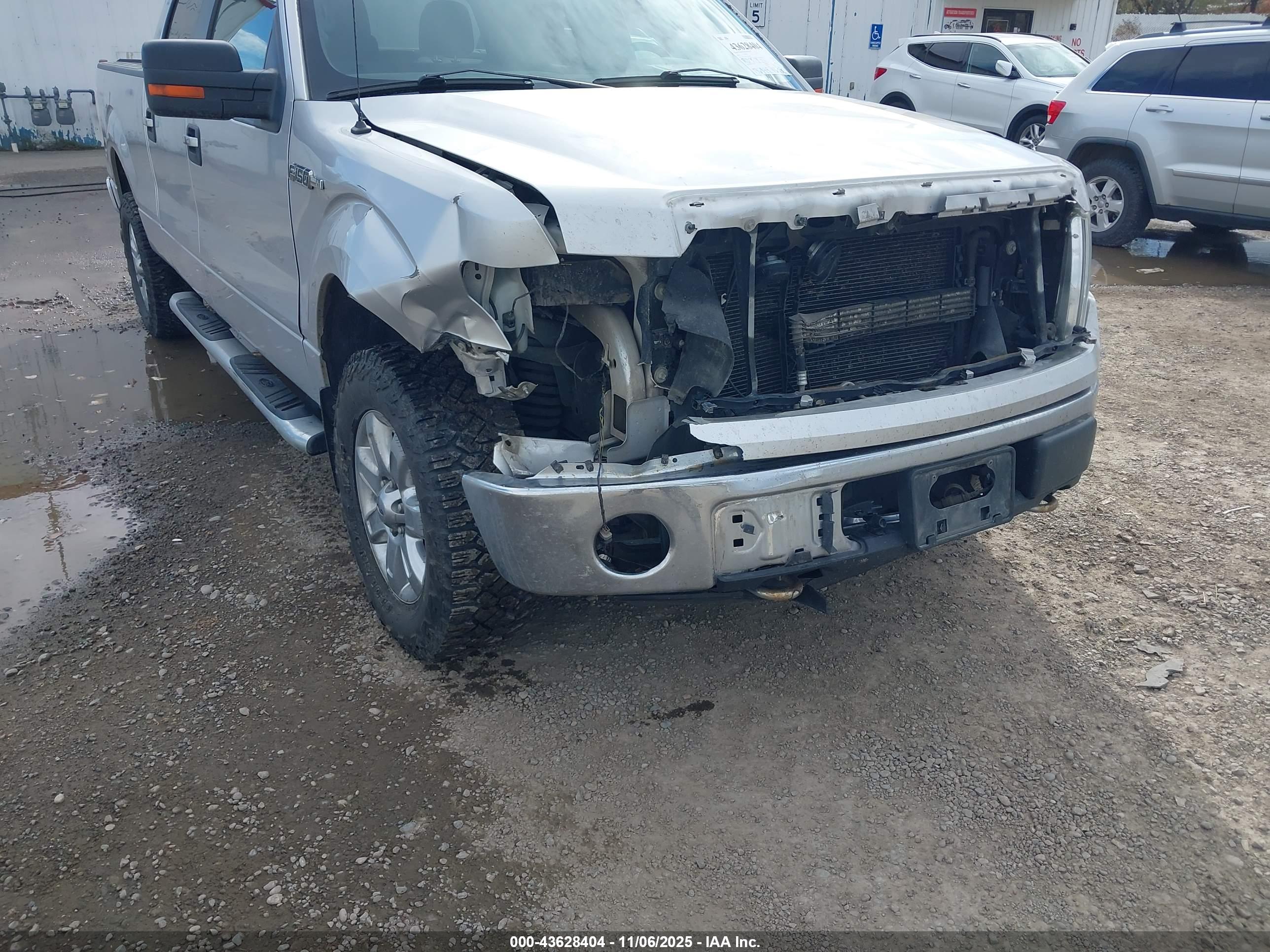FORD F-150 image 6
