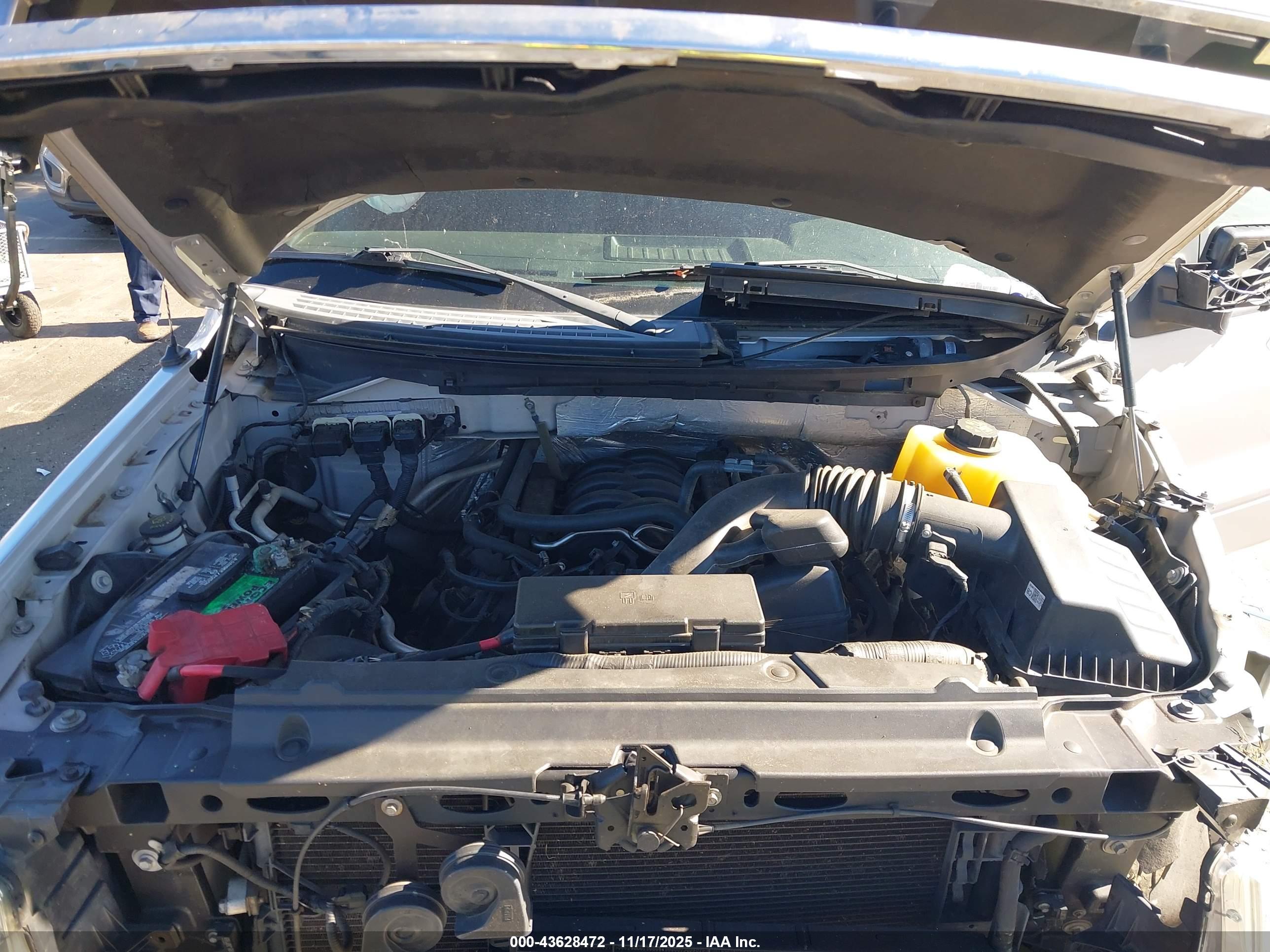 FORD F-150 image 10