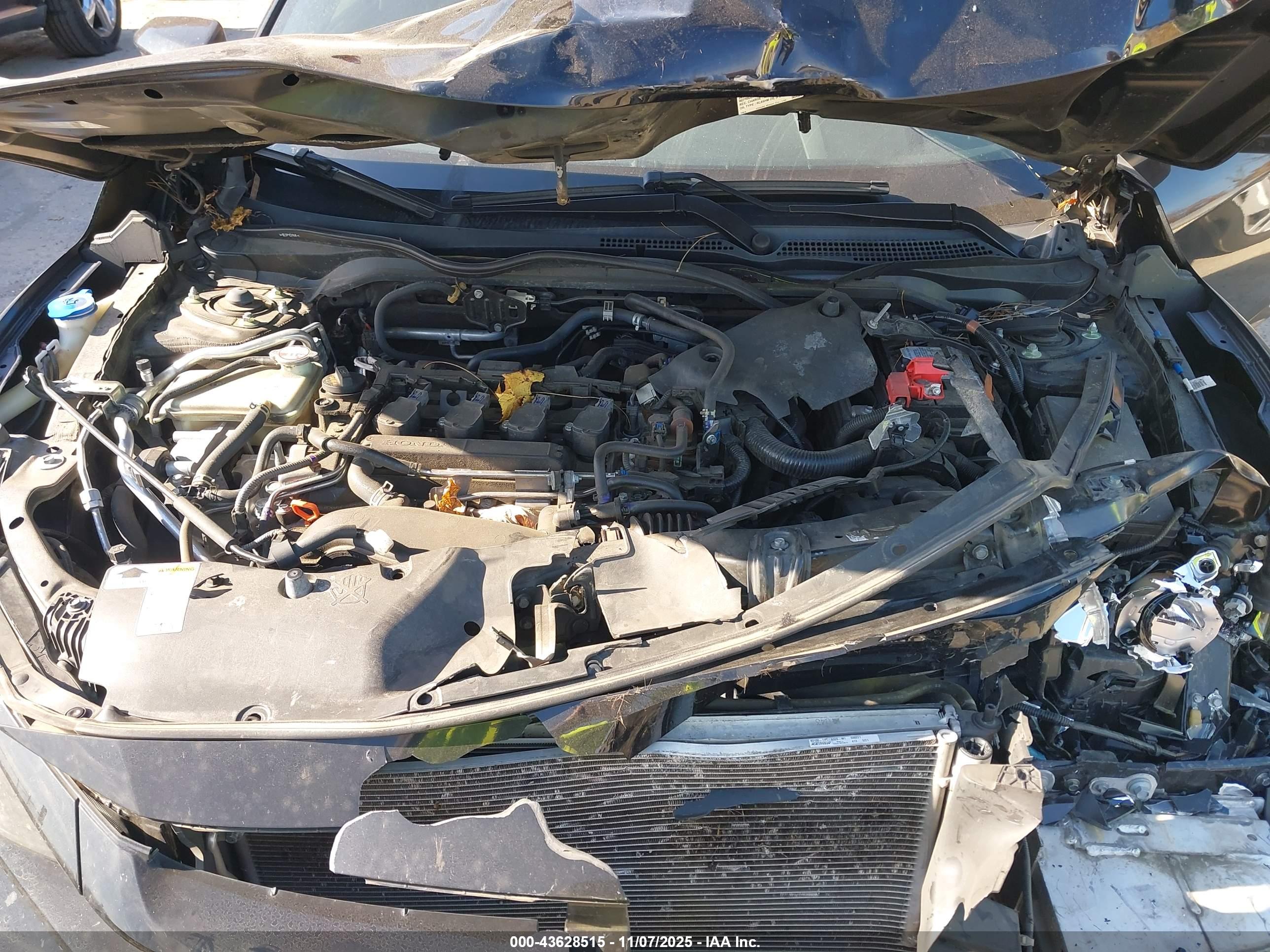 HONDA CIVIC image 10