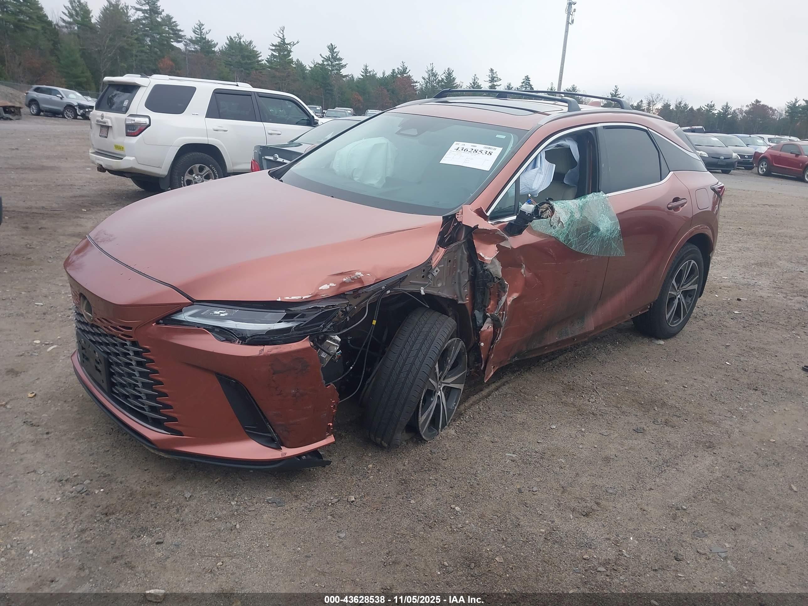 LEXUS RX image 2