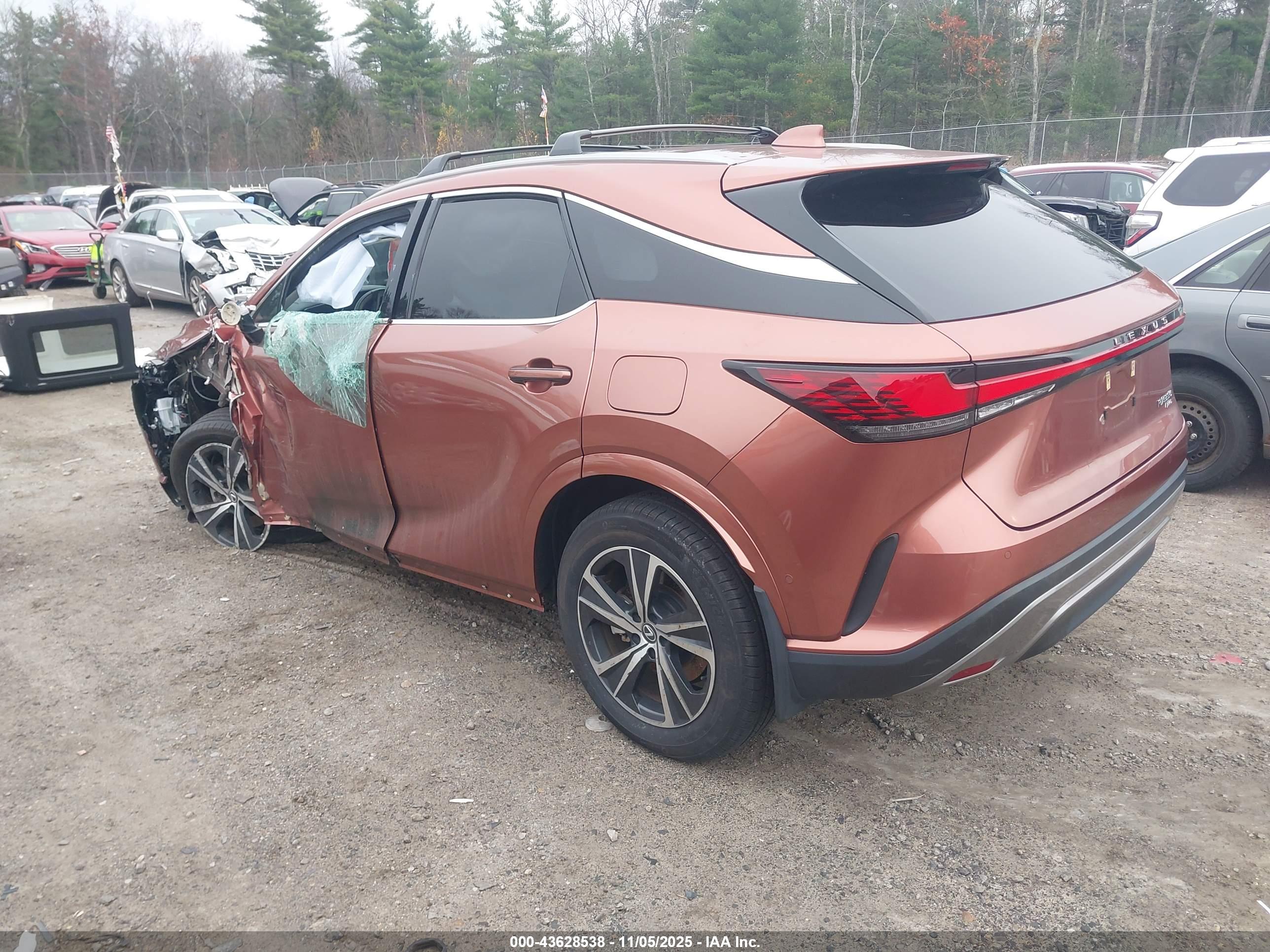 LEXUS RX image 3