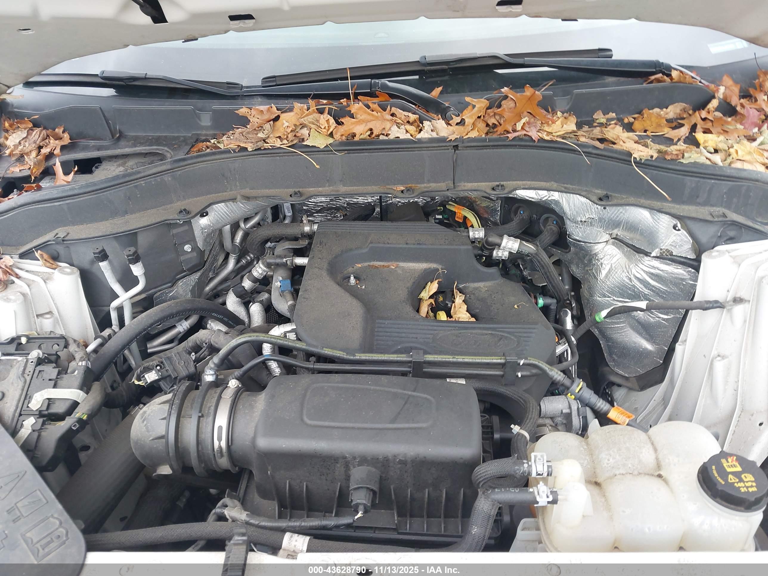 FORD EXPLORER image 10