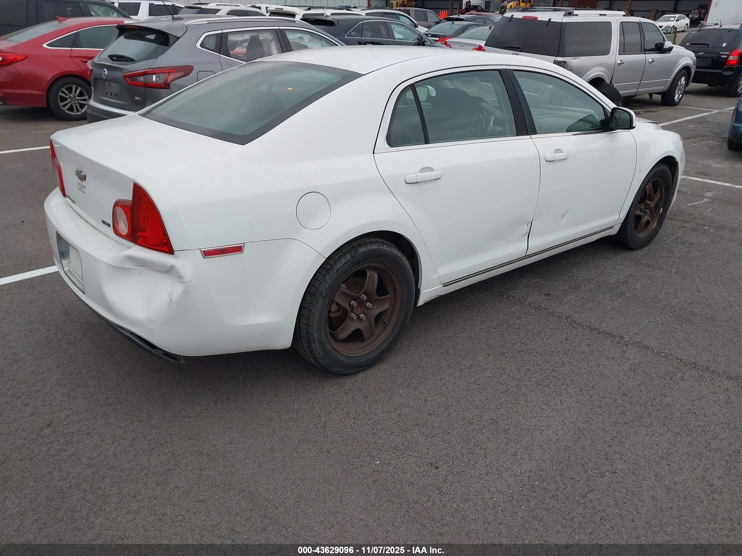 CHEVROLET MALIBU image 4