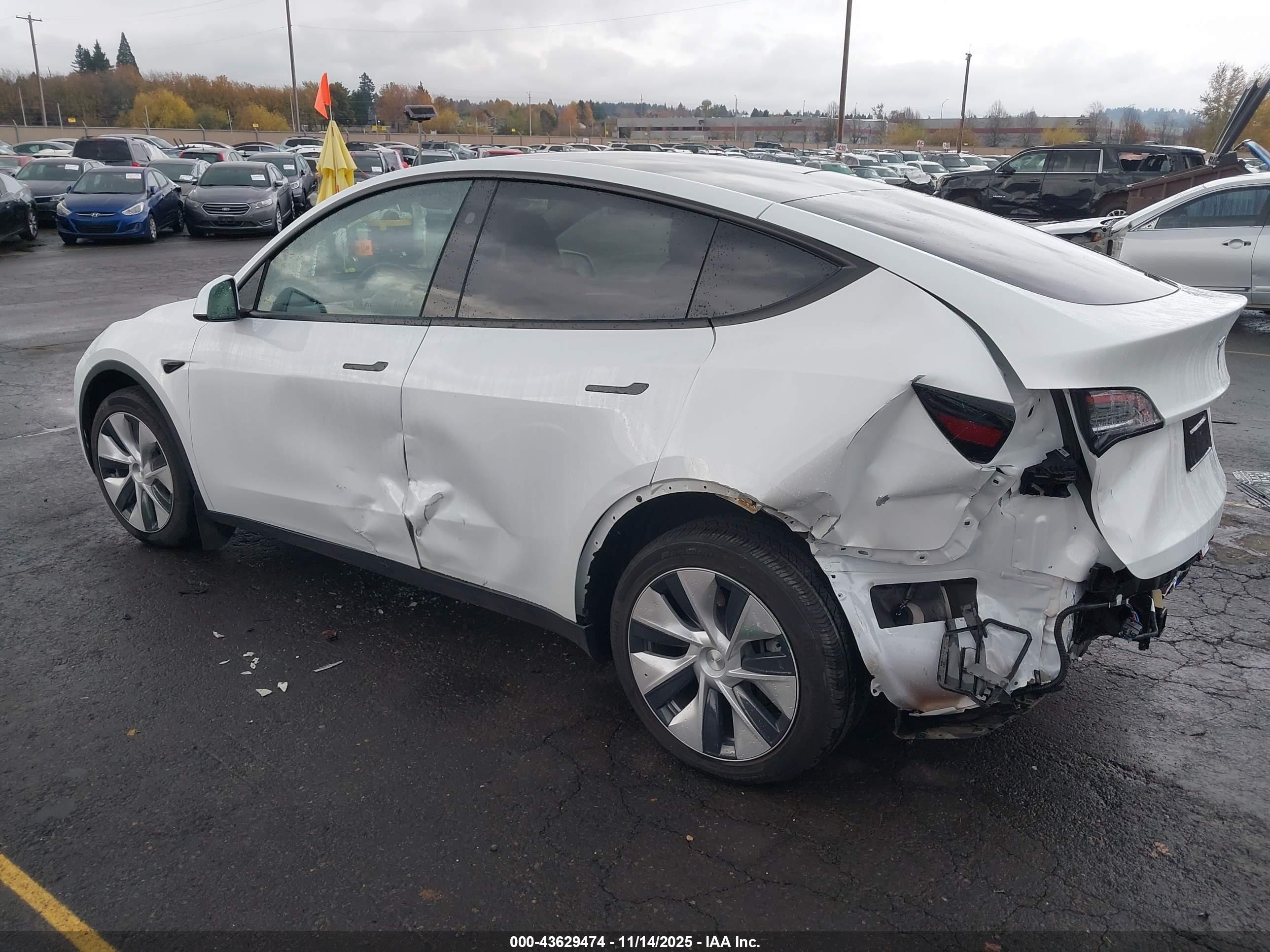 TESLA MODEL image 3