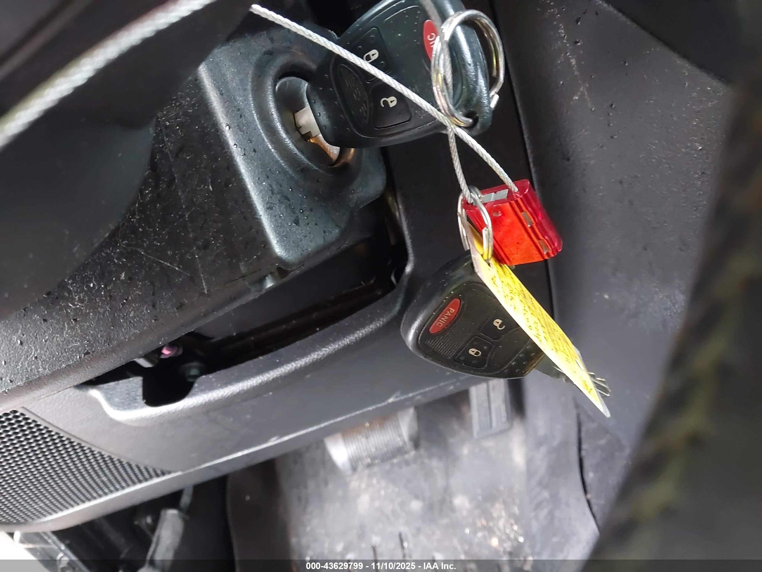 JEEP WRANGLER image 11