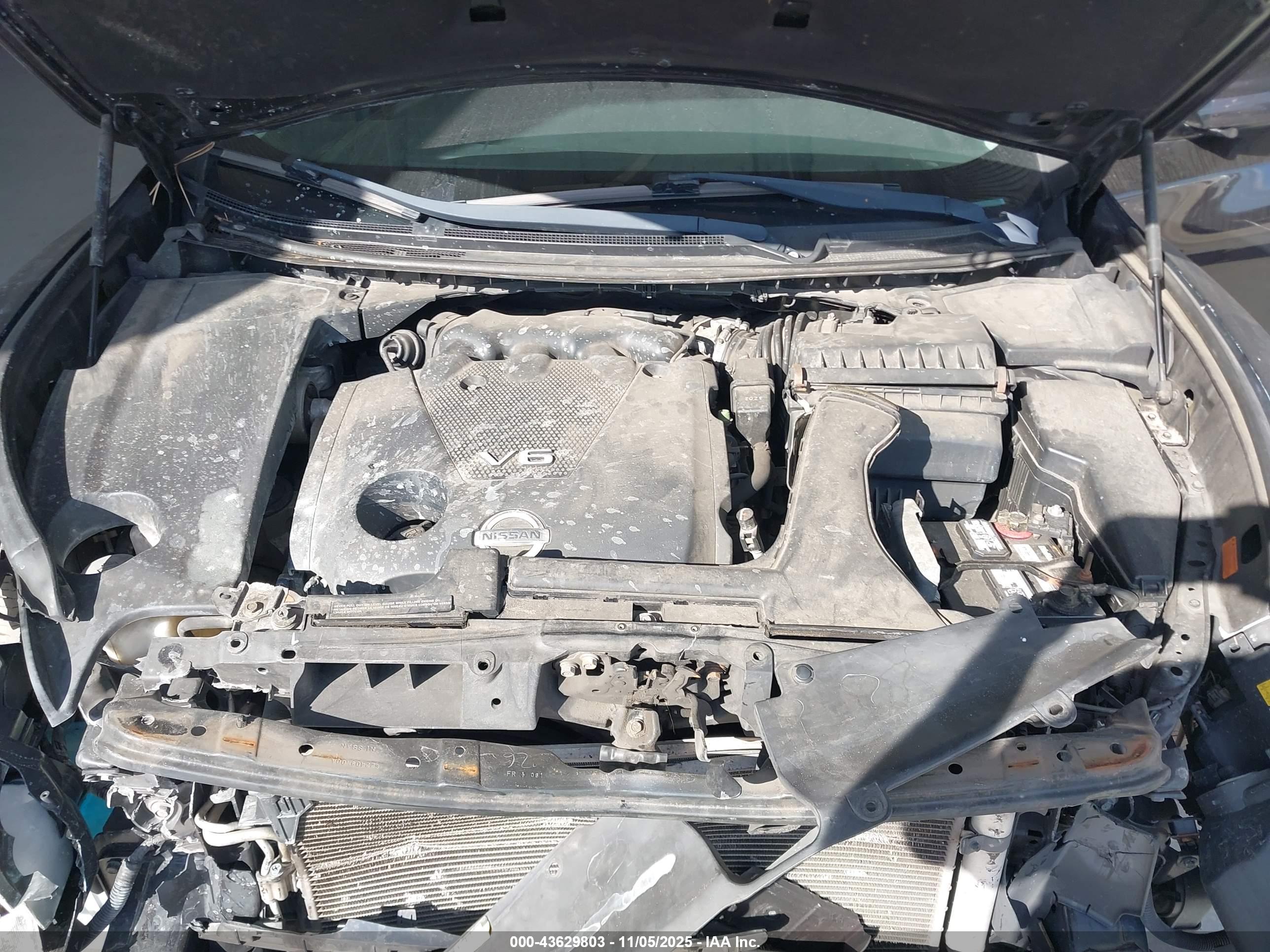 NISSAN MAXIMA image 10