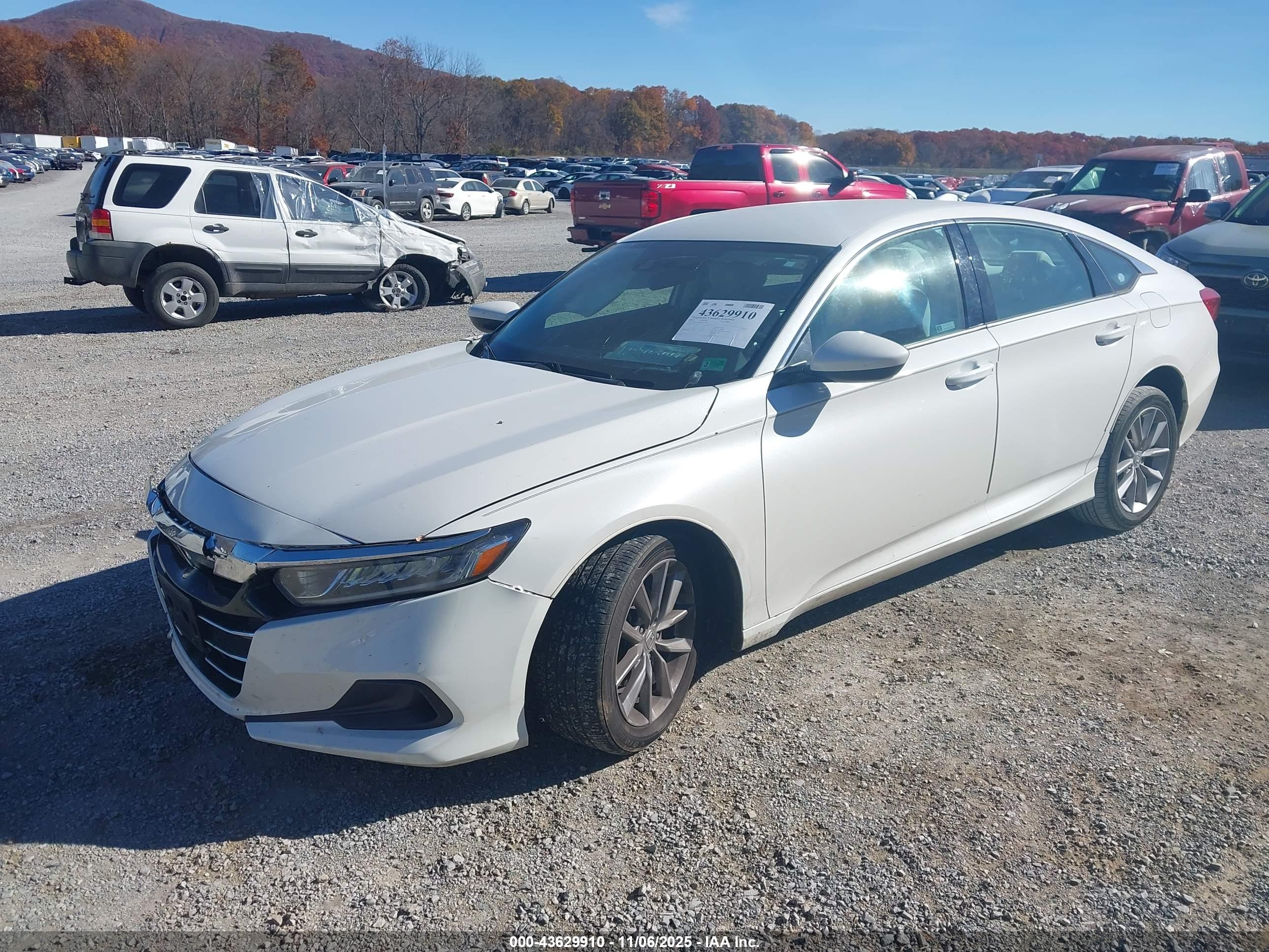HONDA ACCORD image 2