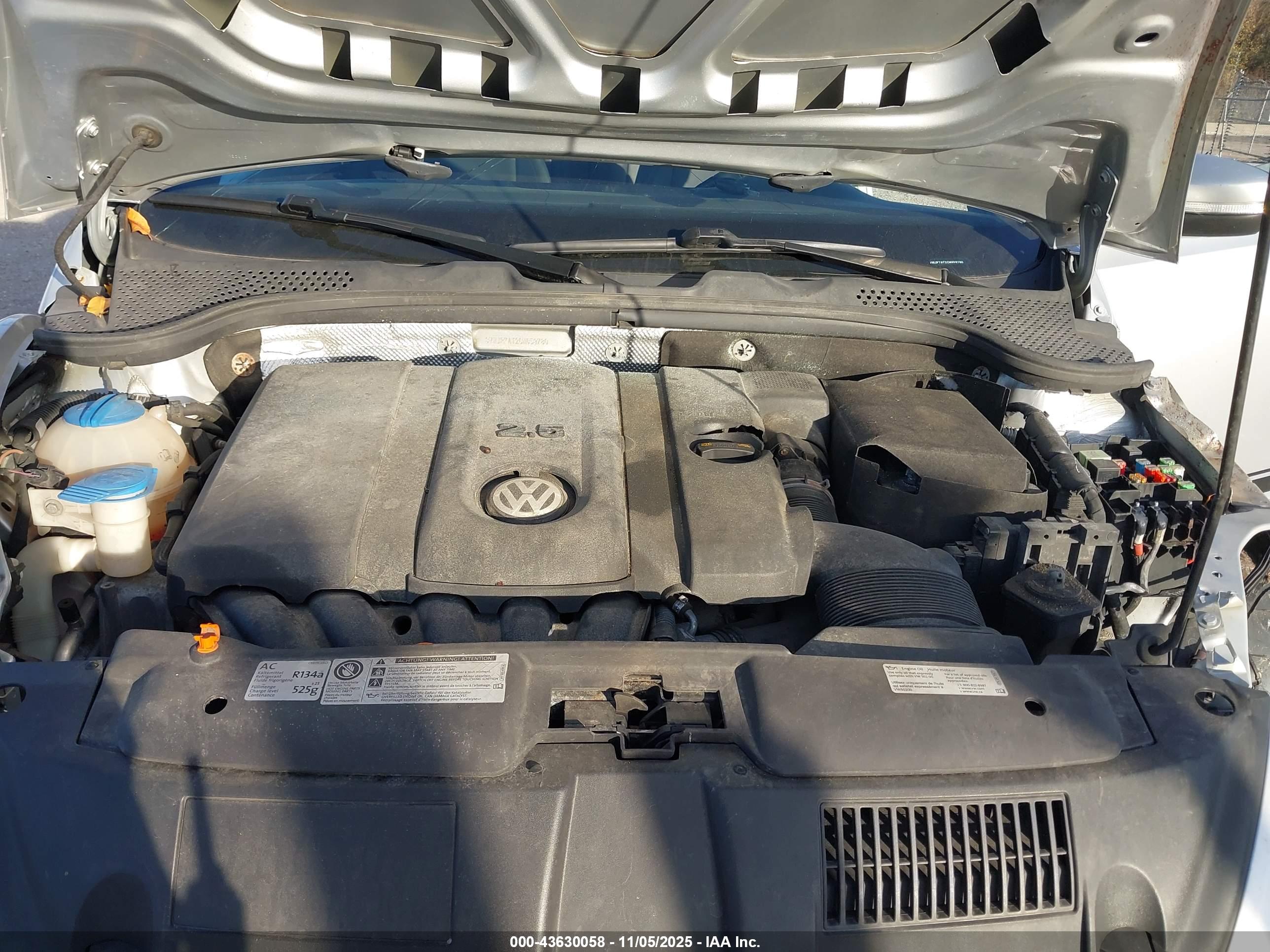 VOLKSWAGEN BEETLE image 10