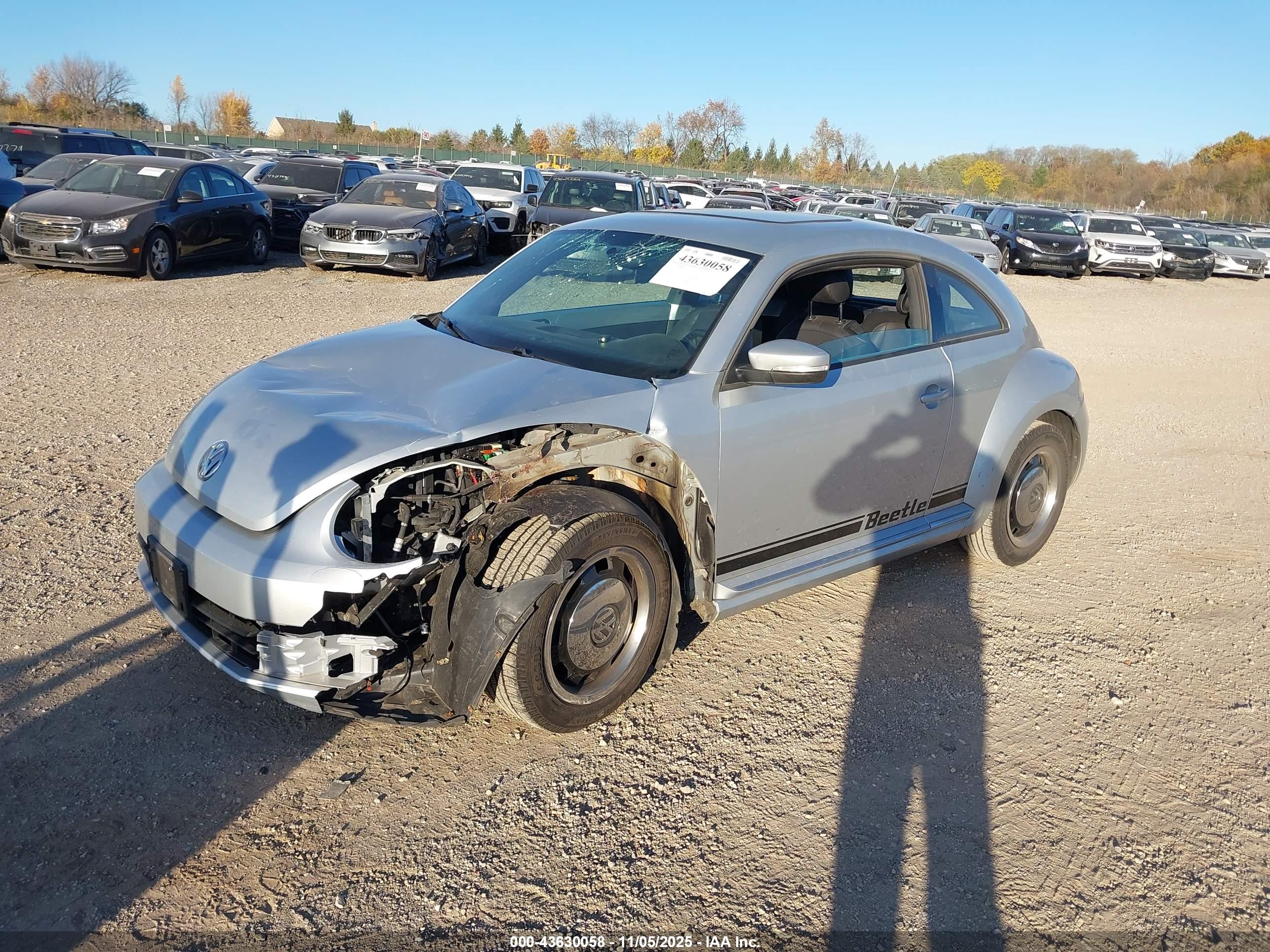 VOLKSWAGEN BEETLE image 2