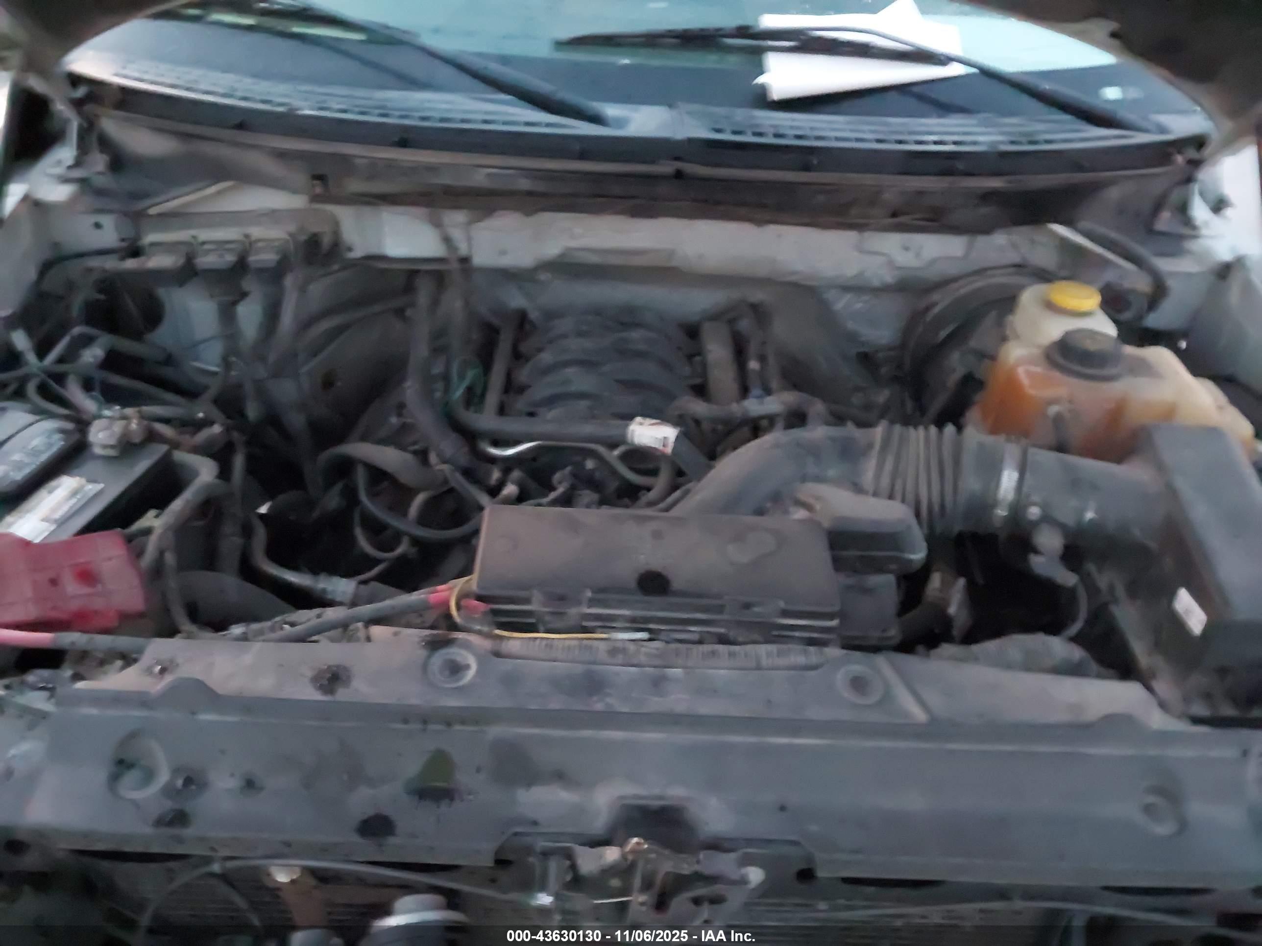 FORD F-150 image 10