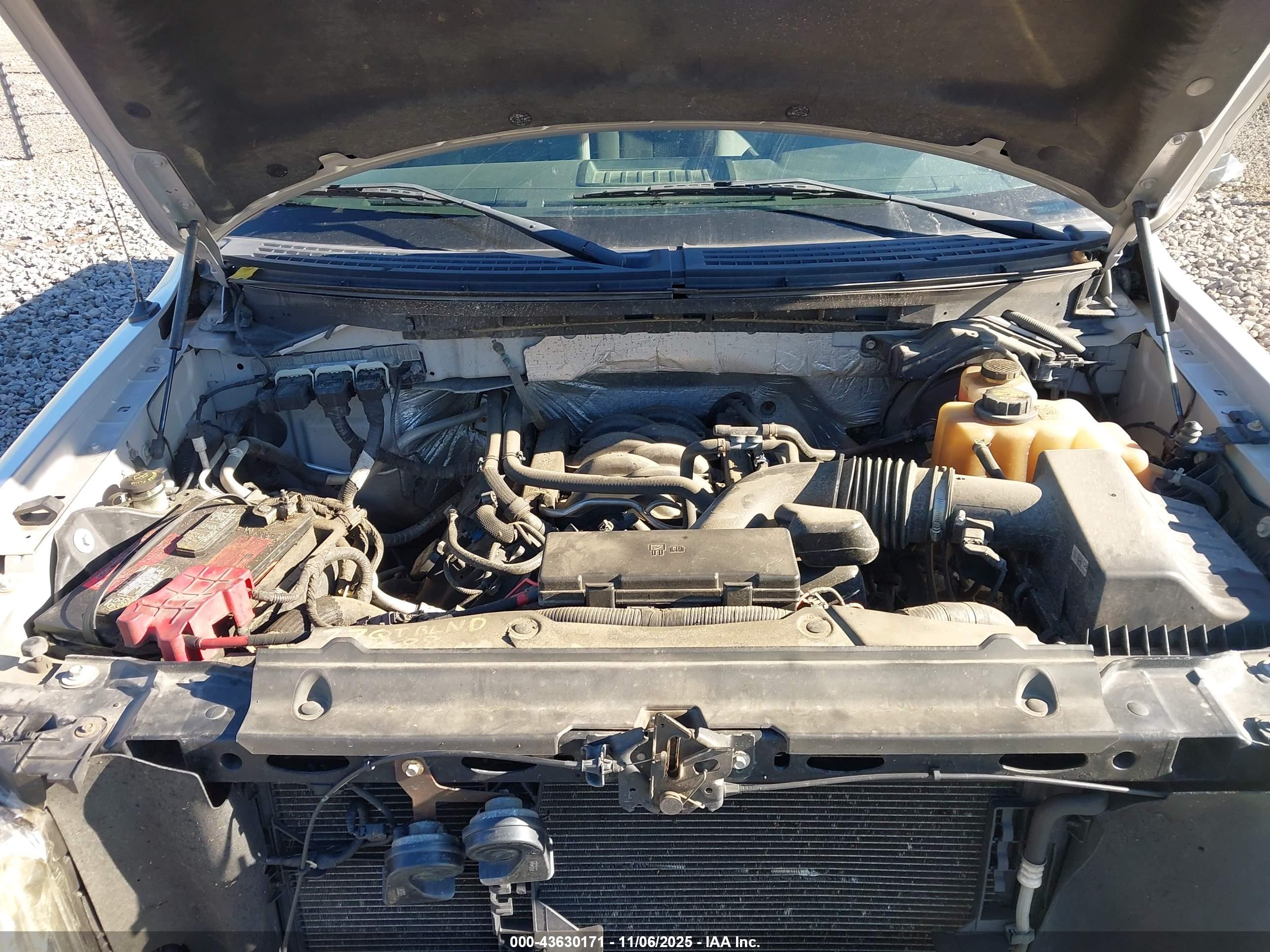 FORD F-150 image 10