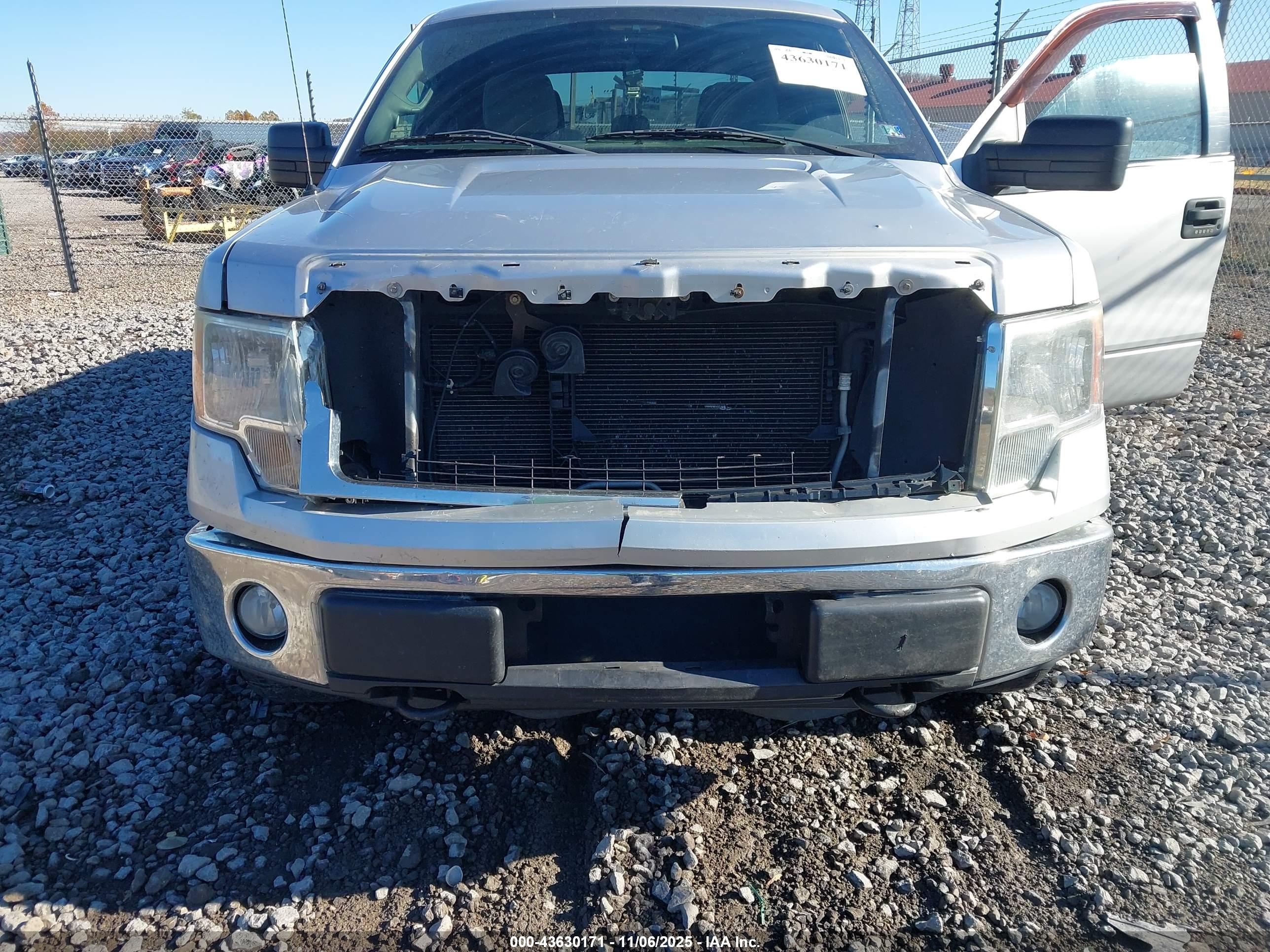 FORD F-150 image 6